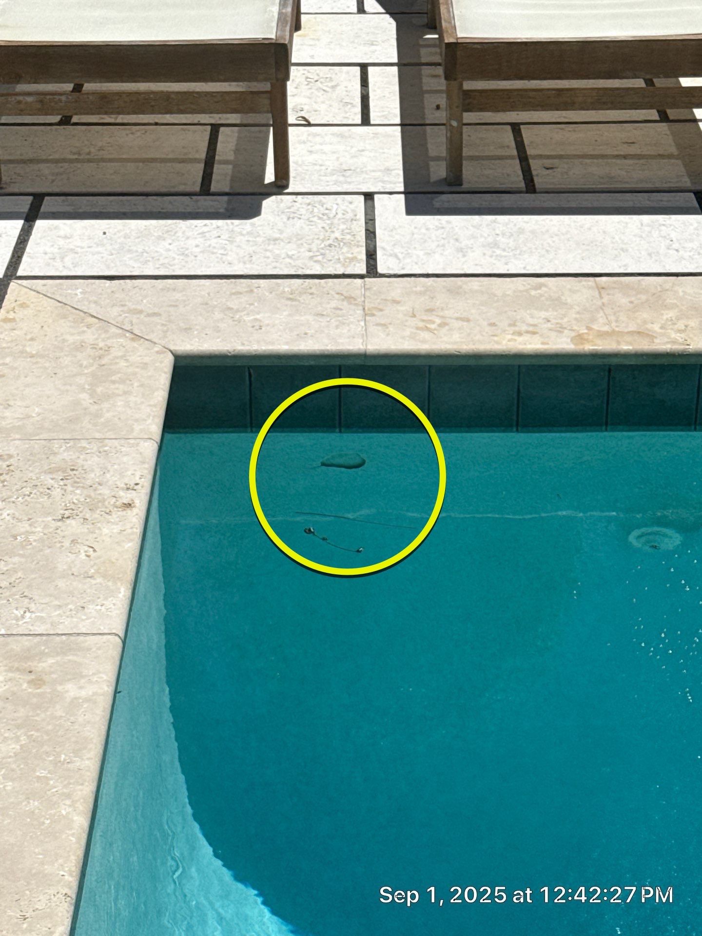 42 Trimingham Ct. - PCB by ASP - America's Swimming Pool Company