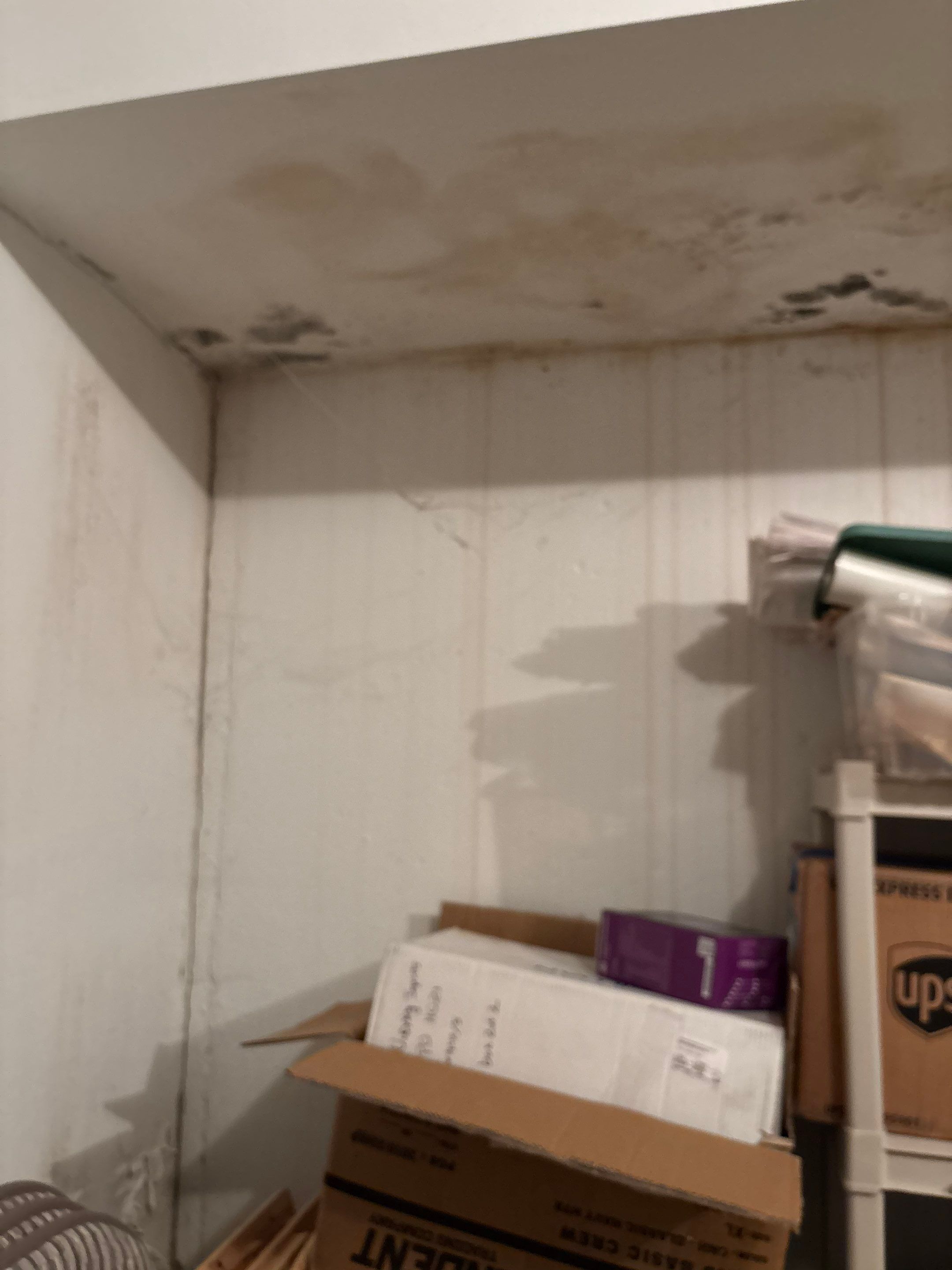 Project in Birmingham by EzDry Water Mitigation & Property Restoration