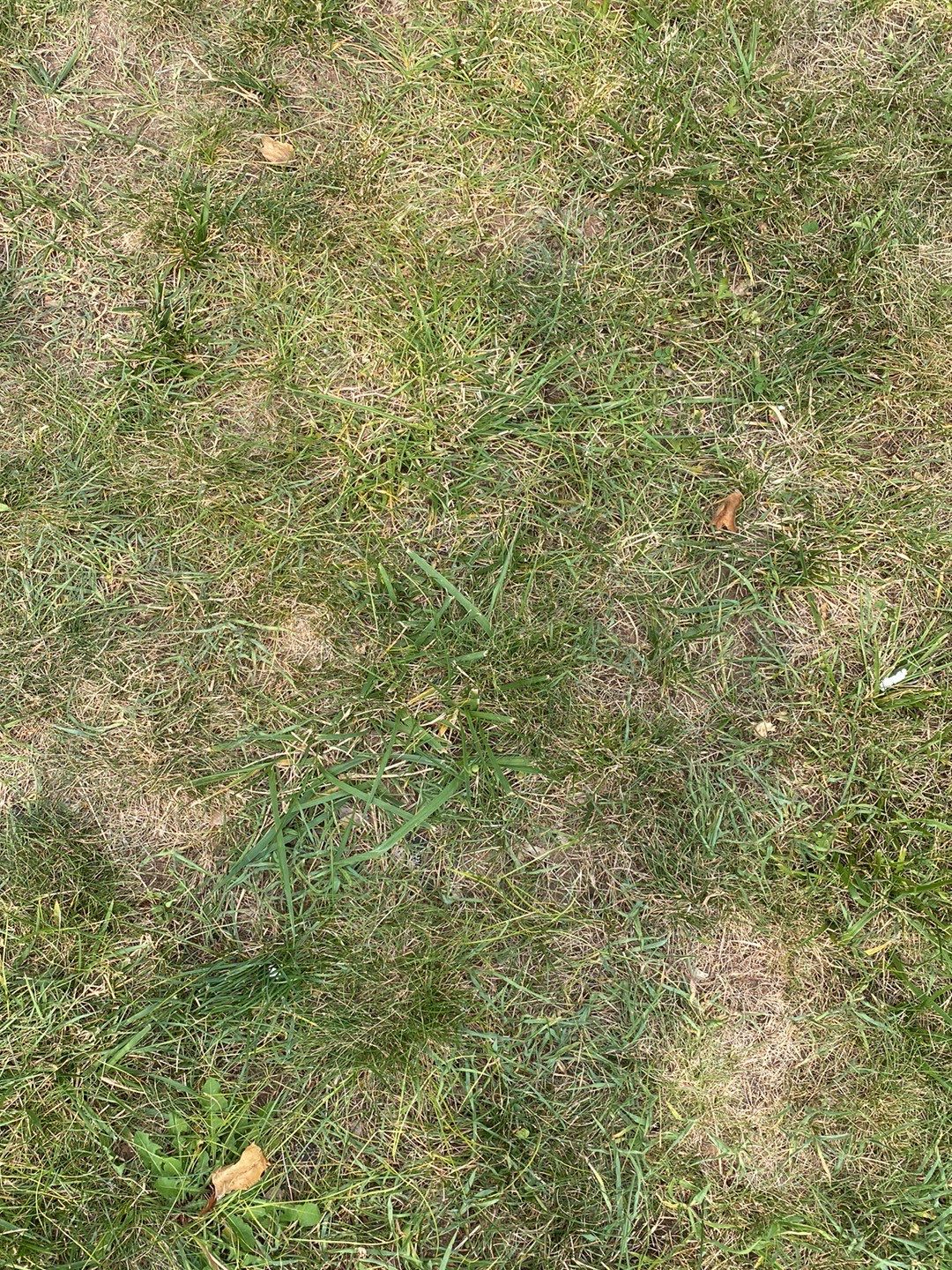 Solar Panel Installation with Exterior Service Change by Infinity Solar Systems