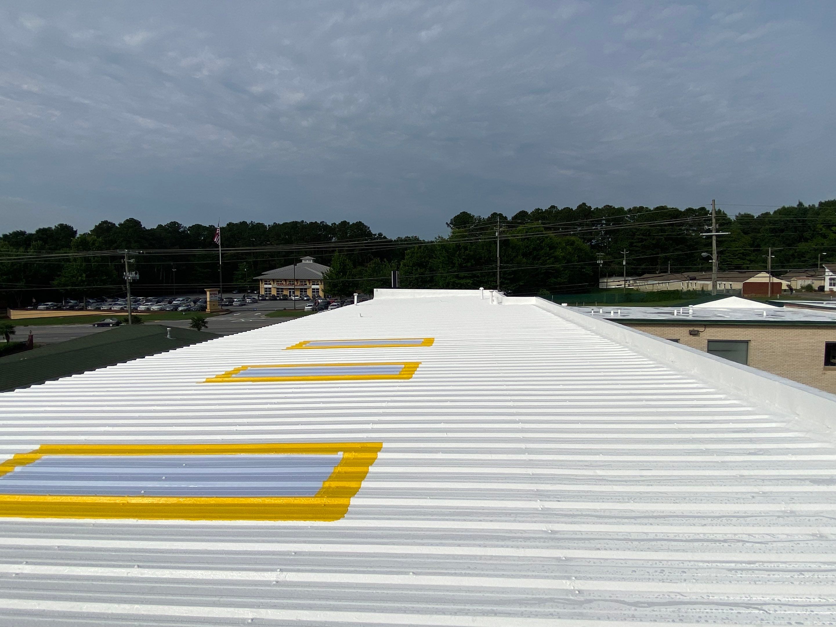 Metal Coating and Skylight Protection by Georgia Roof Advisors