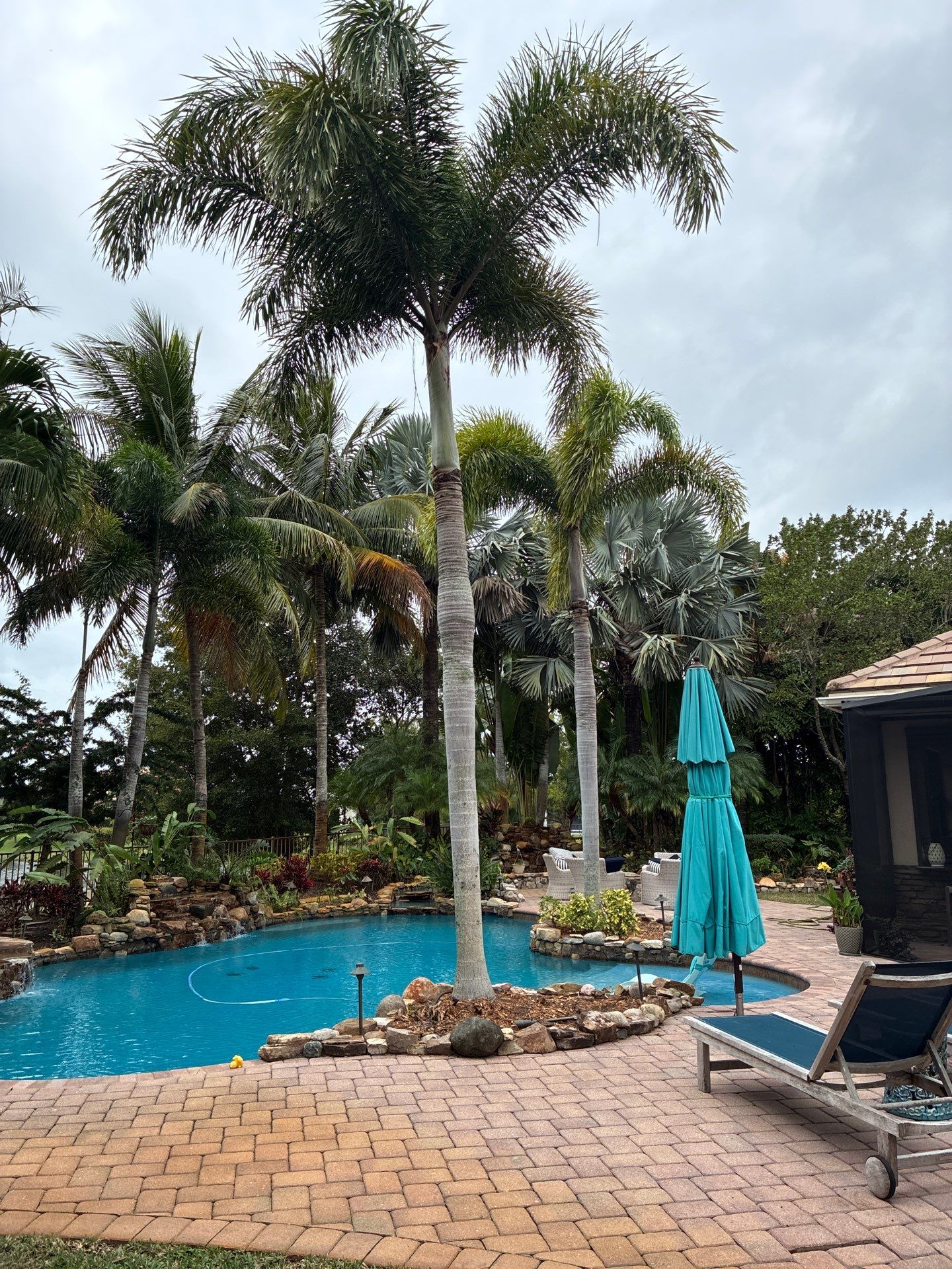 Palm Perfection & Poolside Restoration in Lighthouse Point by Alpha Zeta Enterprises Inc