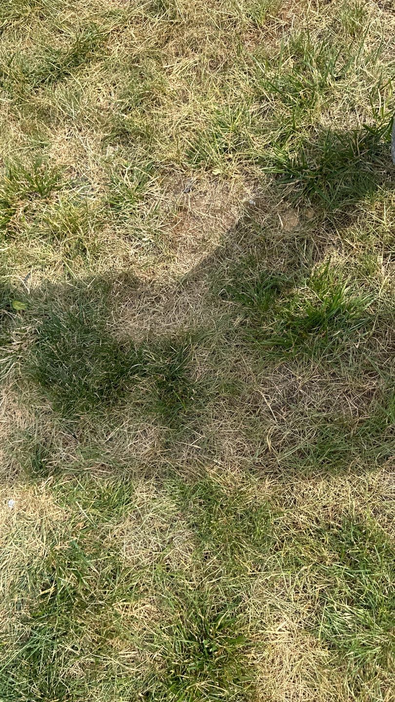 Pool Deck Project in Gibsonia by Floors in a Day, Inc