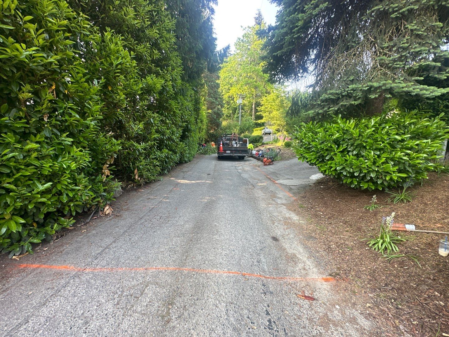 REDHAWK GROUP/SEATTLE WA  by Jireh Asphalt & Concrete Inc 