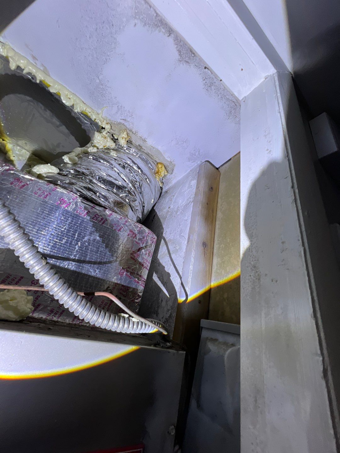St Petersburg Mold Remediation by Ampm Restoration Services 