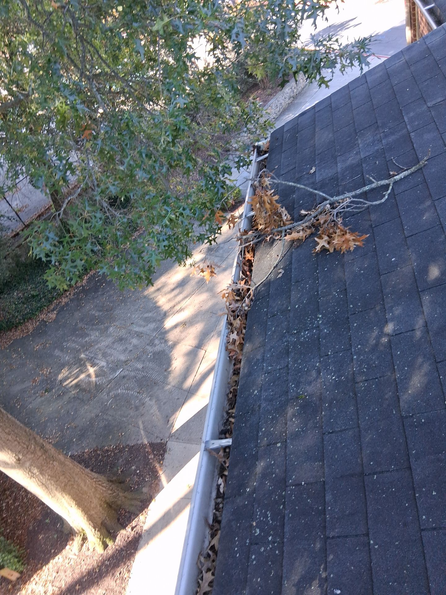 Commercial gutter cleaning Maryland before photo with filled gutters