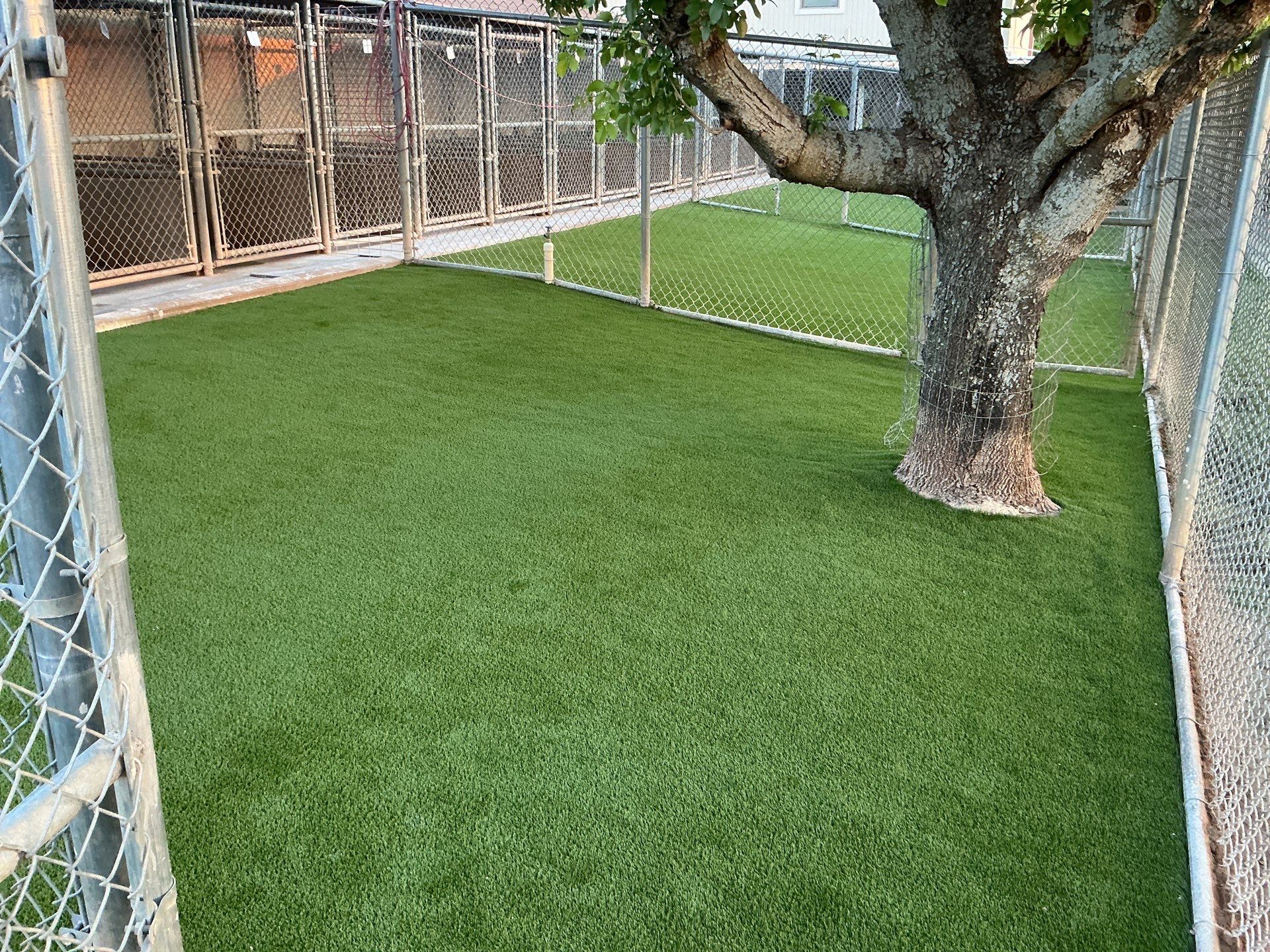 Synthetic Turf Installation using Pet Turf by Turf Concepts
