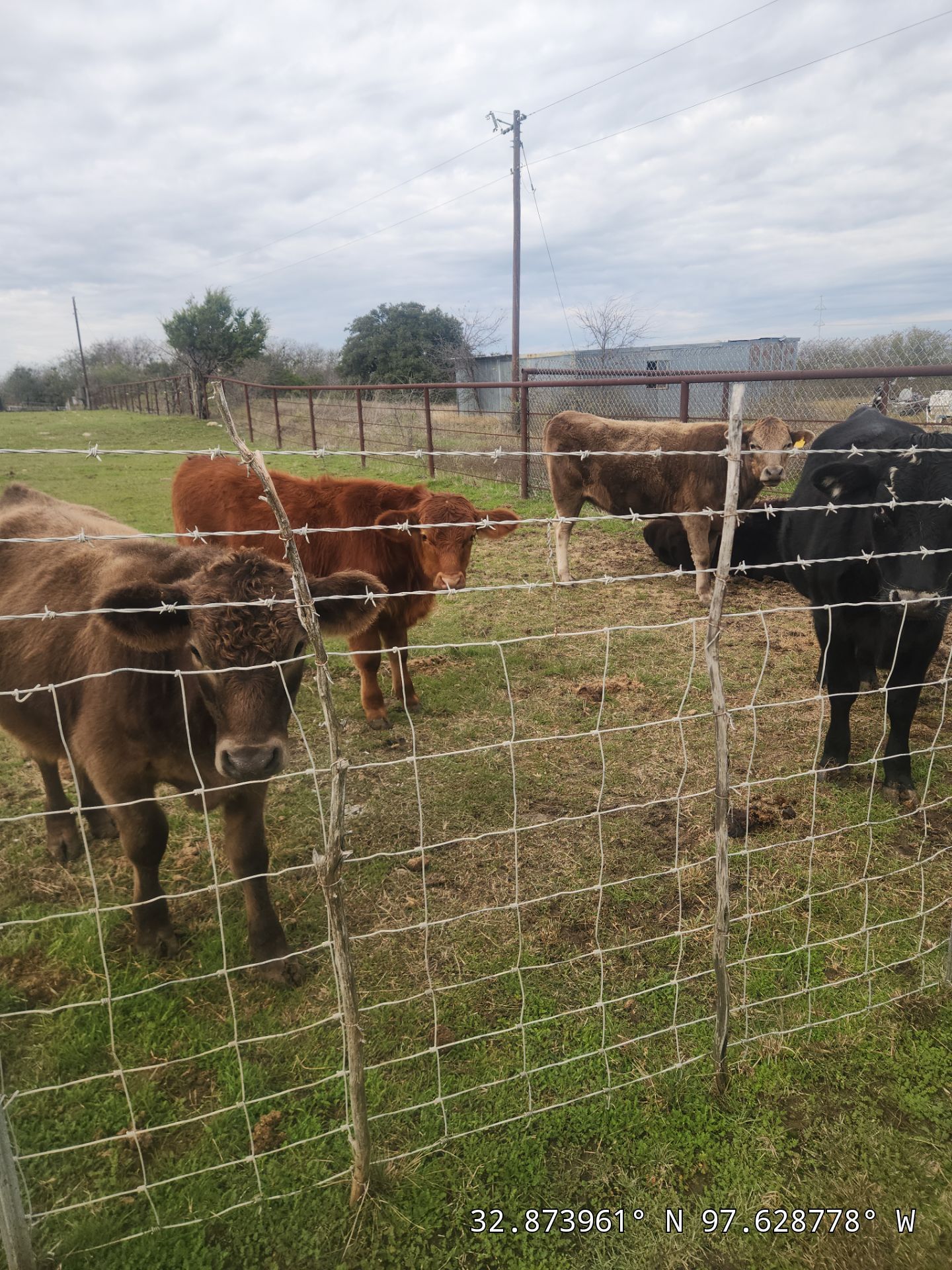 Project in Weatherford by Lonestar Roofing and Restoration LLC.