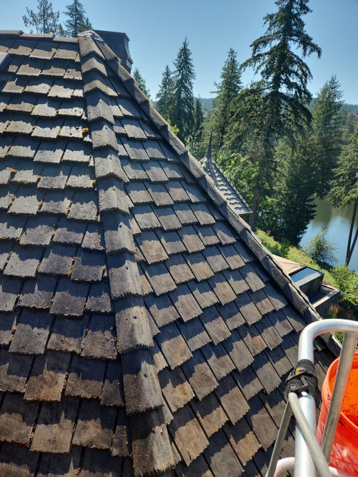 Moss Removal/ Treatment using Biocide by Willamette Outdoor Wash LLC