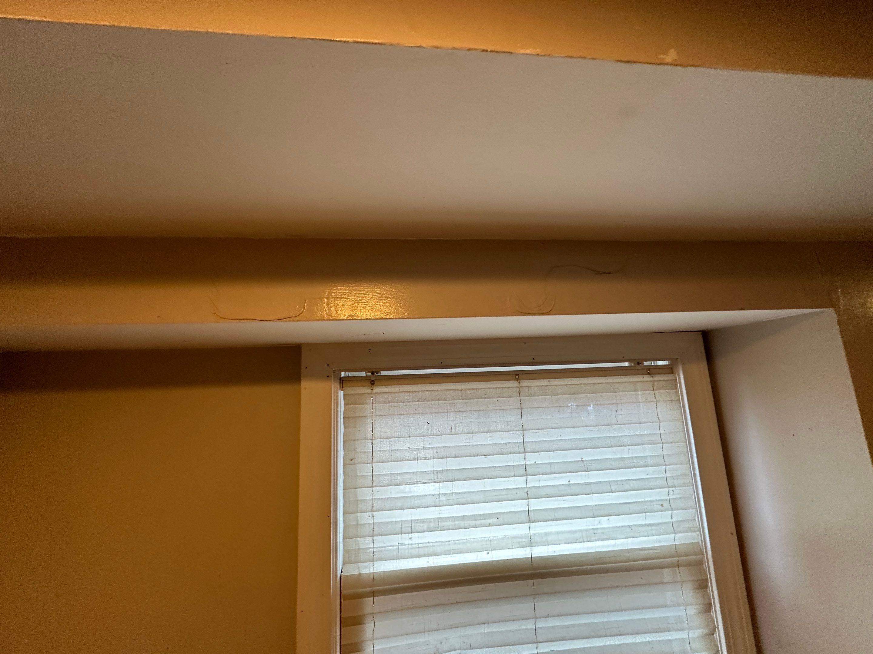 Basement Mold Remediation by Home Guarantee, LLC