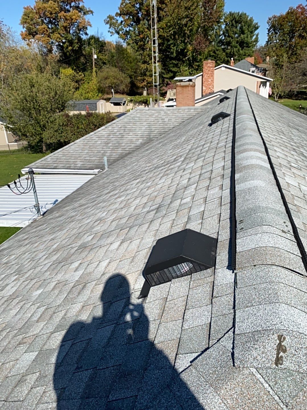 Devon Bunting by Silver Leaf Contracting 