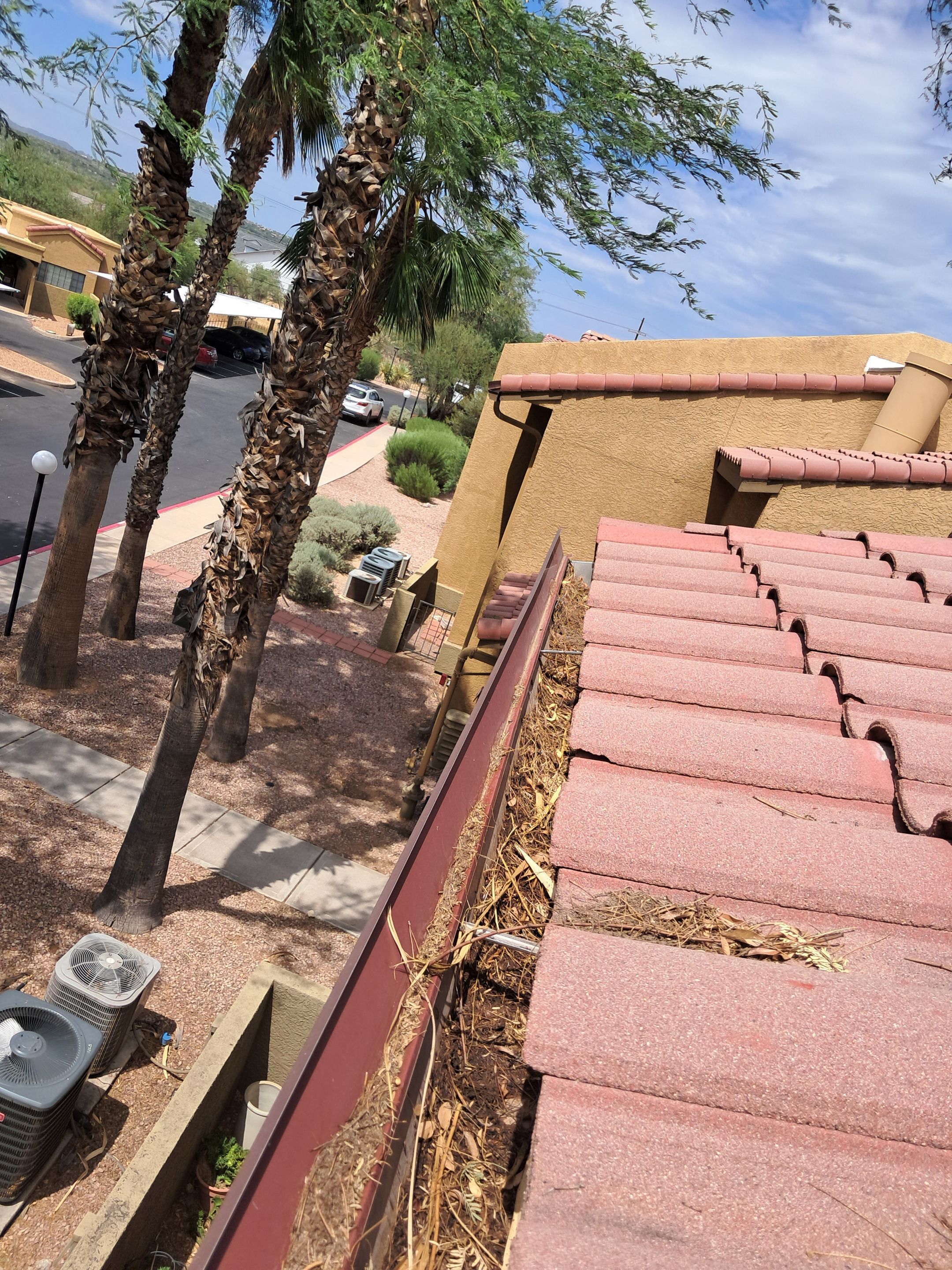 HOA gutter cleaning before photo