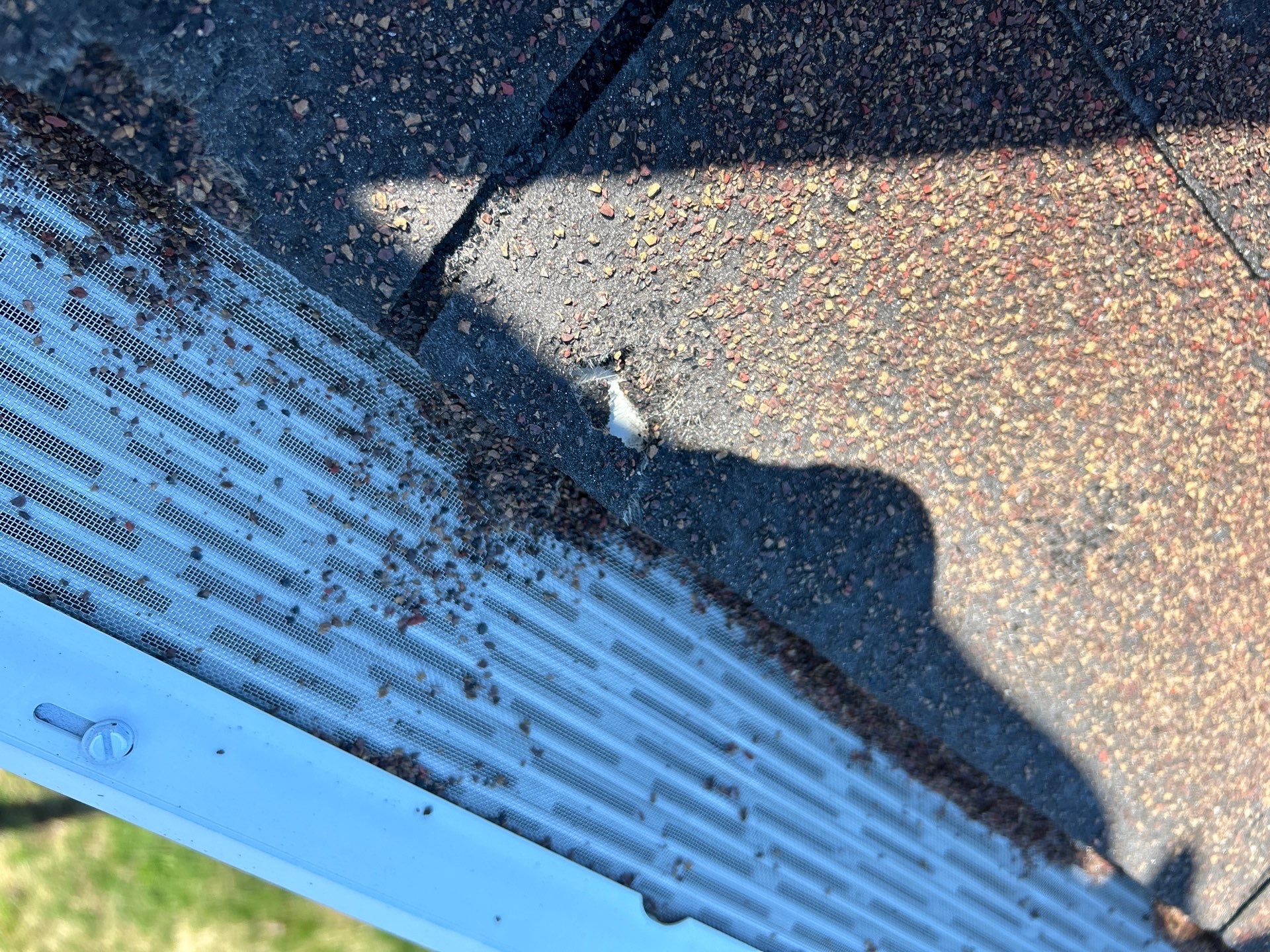 Roof and Siding Replacement using Norandex Cedar Knoll Graphite Siding and Owens Corning Durations in Onyx Black by WIW Enterprises Inc