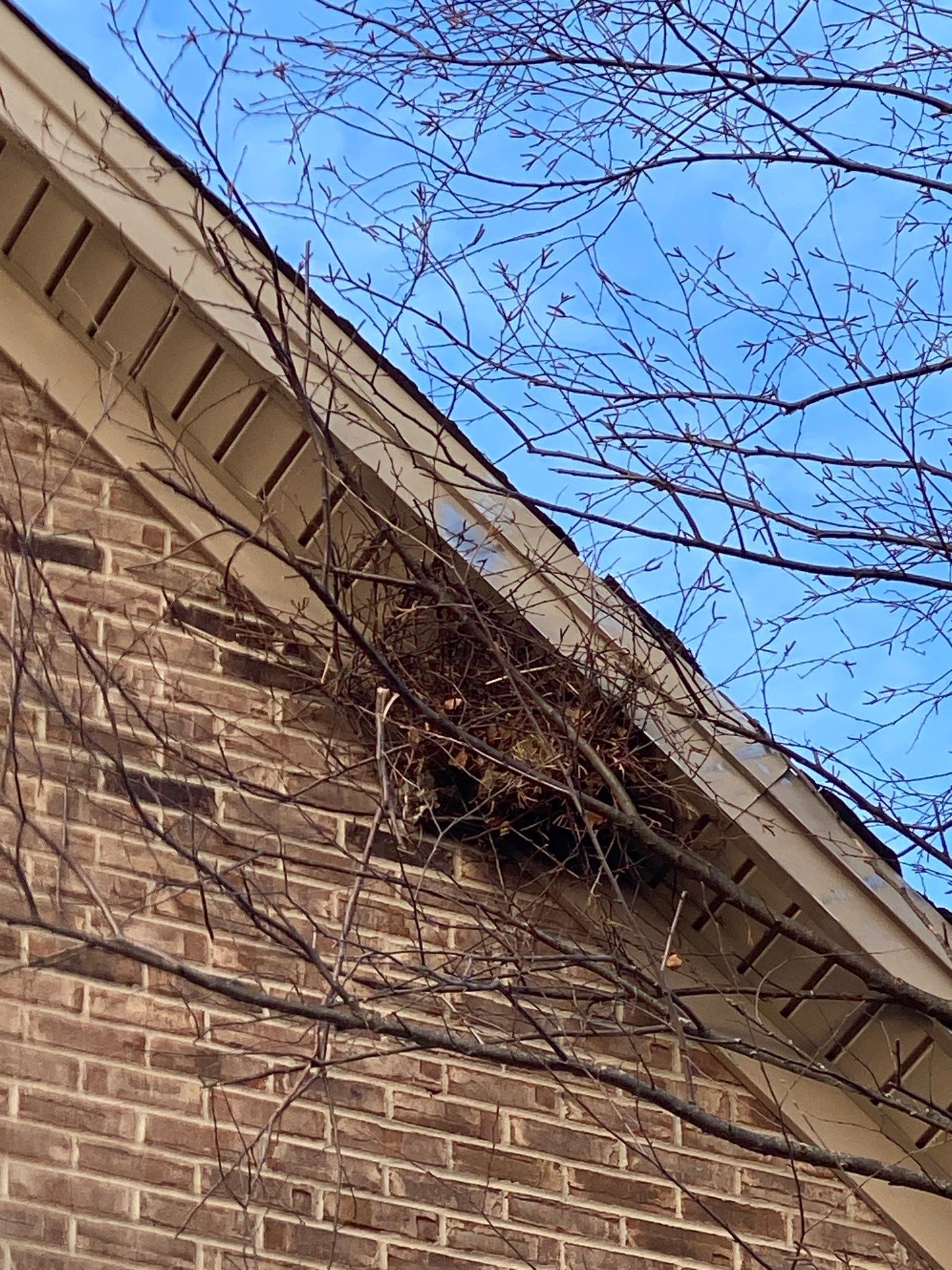 ROOF REPLACEMENT IN TRENTON OHIO by XPRO ELITE LLC