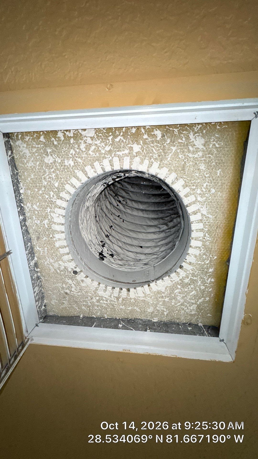 Air Duct & Air Handler Cleaning — Clermont by Hygienic Air, Inc