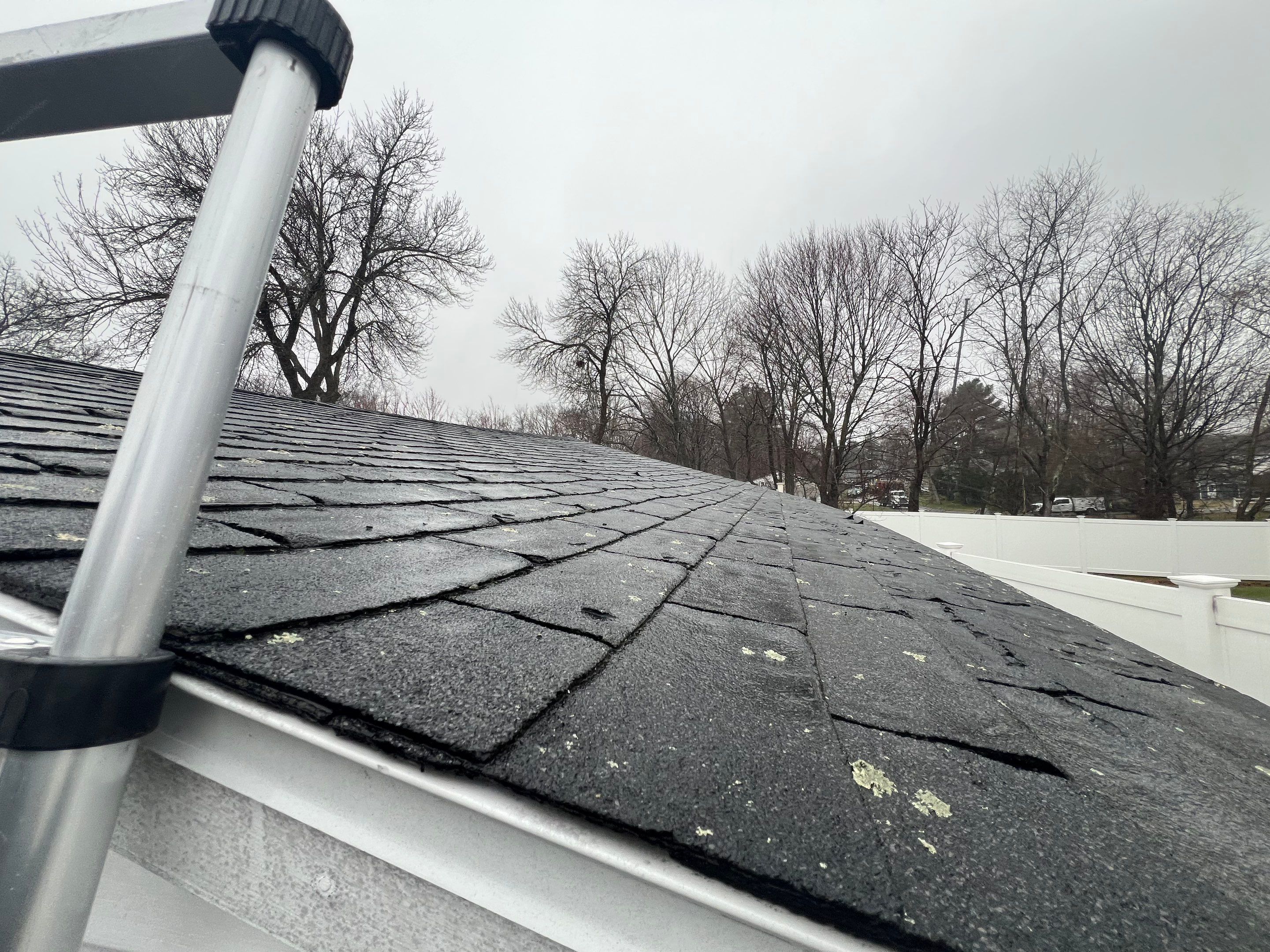 Roofing | Chelmsford by Mighty Dog Roofing of Greater Middlesex County