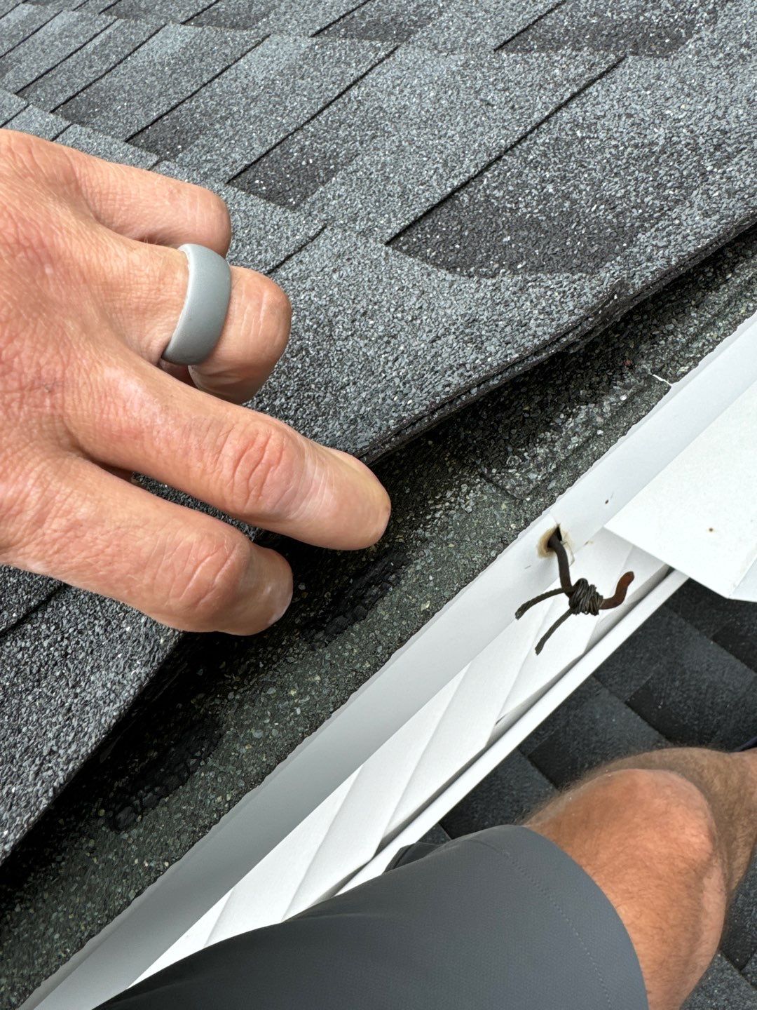 "From Solar Disappointment to Home Perfection: Full Roof Replacement & Chimney Rebuild!" by Sensible Home Solutions