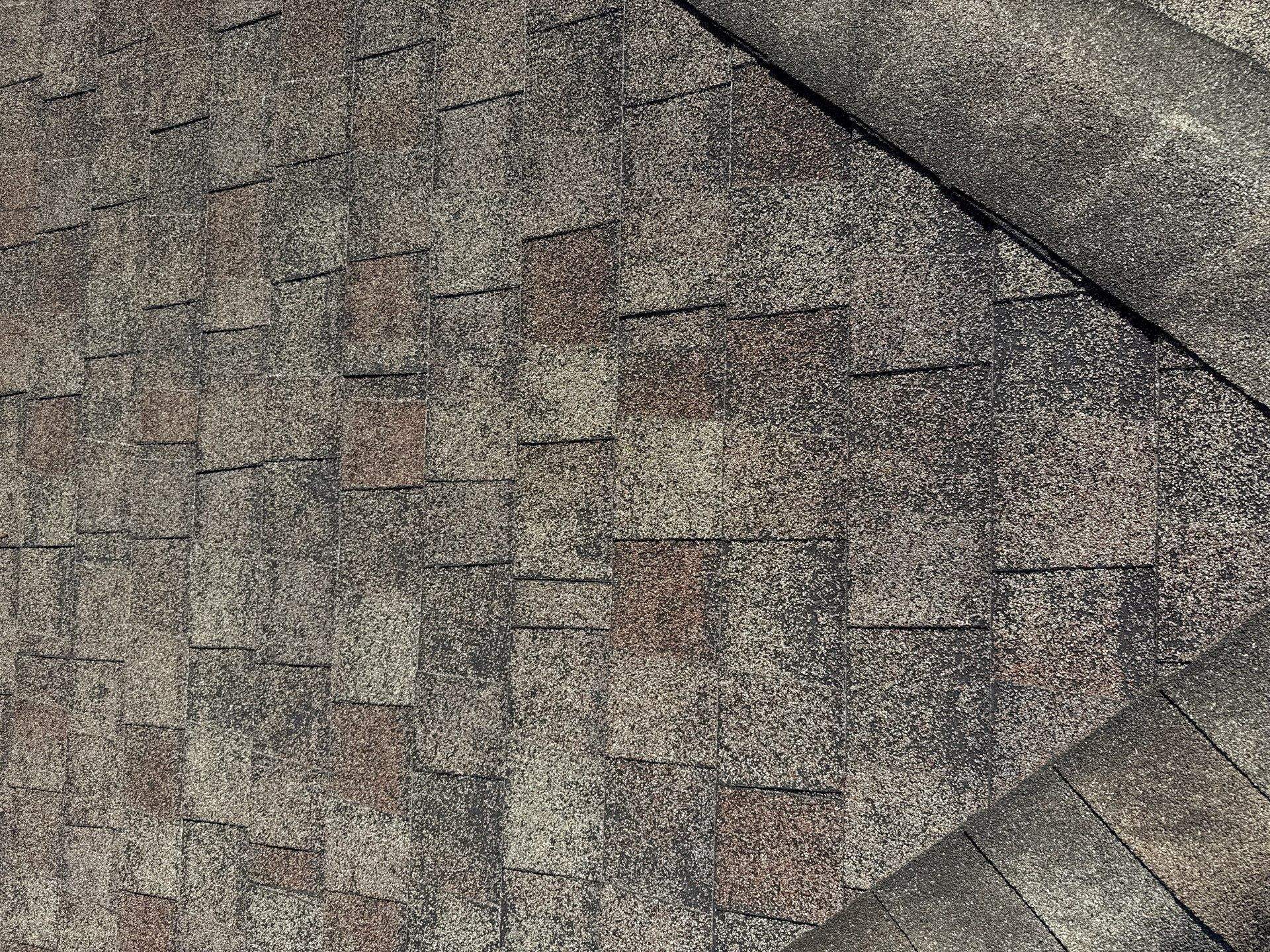 Comprehensive Residential Roof Replacement with Atlas Pinnacle Shingles in Orlando by Fortified Roofing Solutions Corp.