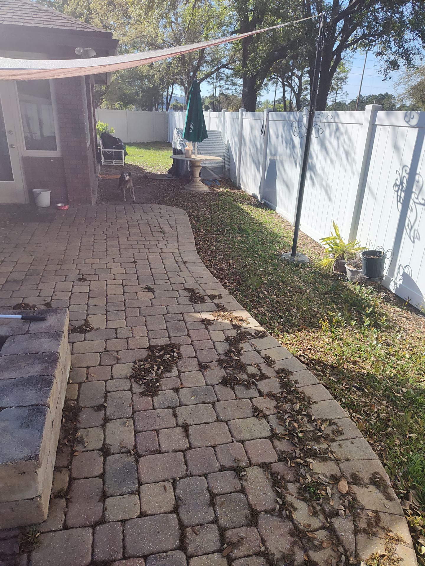 Pavers using Concrete Sealant by DuraSeal