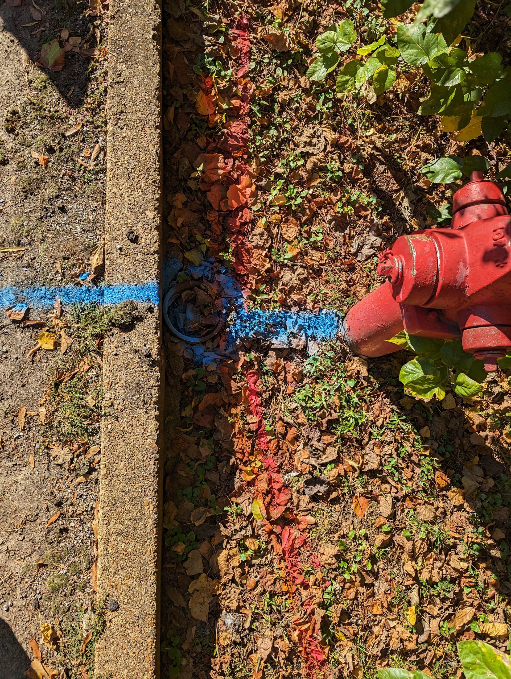 Utility Locating and Verification for Survey Crew by Alsip Locating Service, LLC