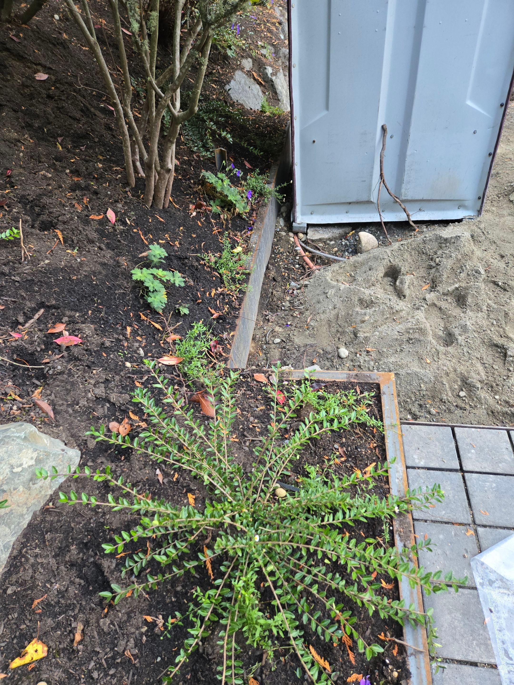 Asphalt Driveway Repair | Edmonds  by Jireh Asphalt & Concrete Inc 