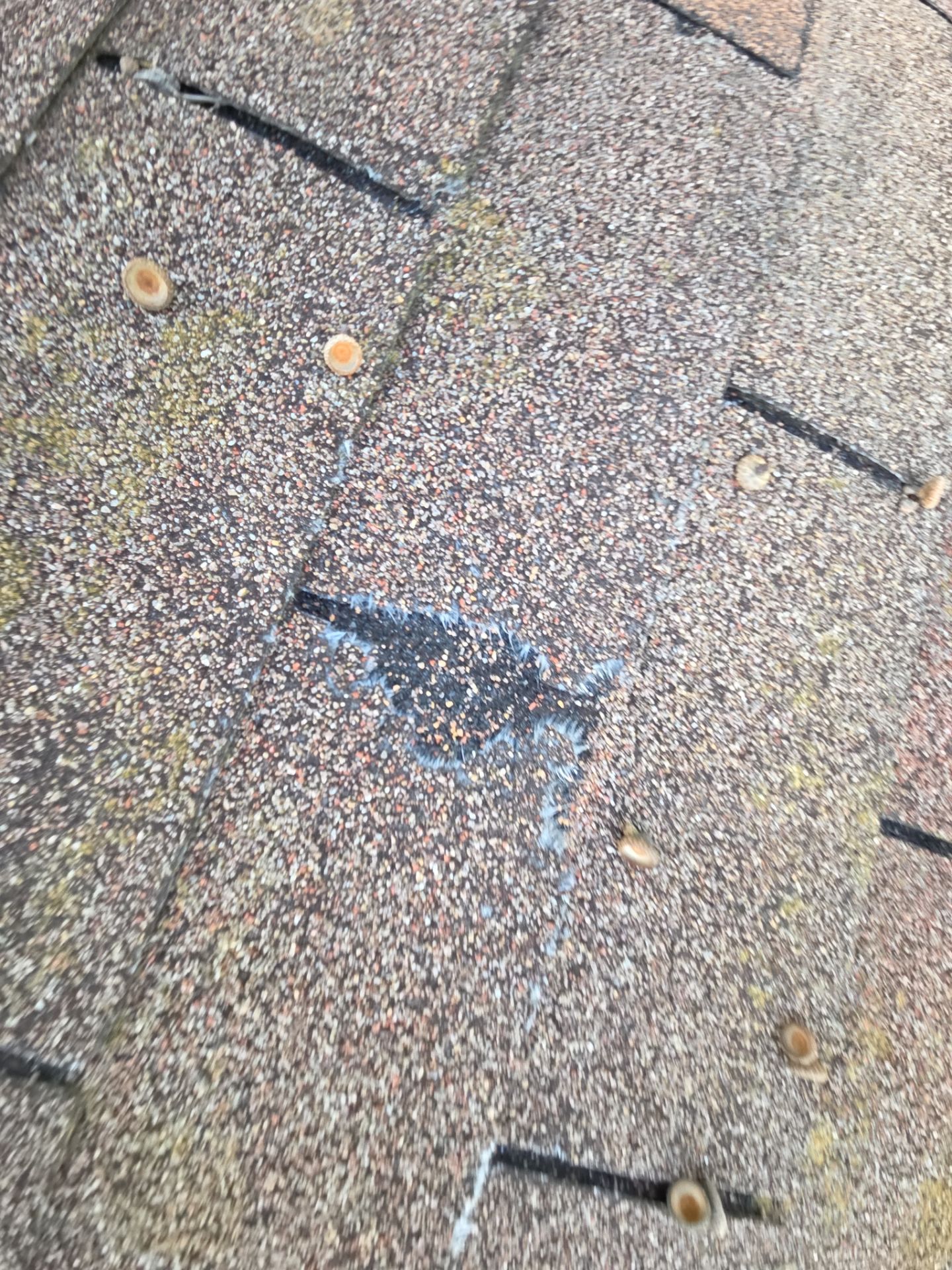 Metal Roof Installation in Arley by NANOROOF Alabama