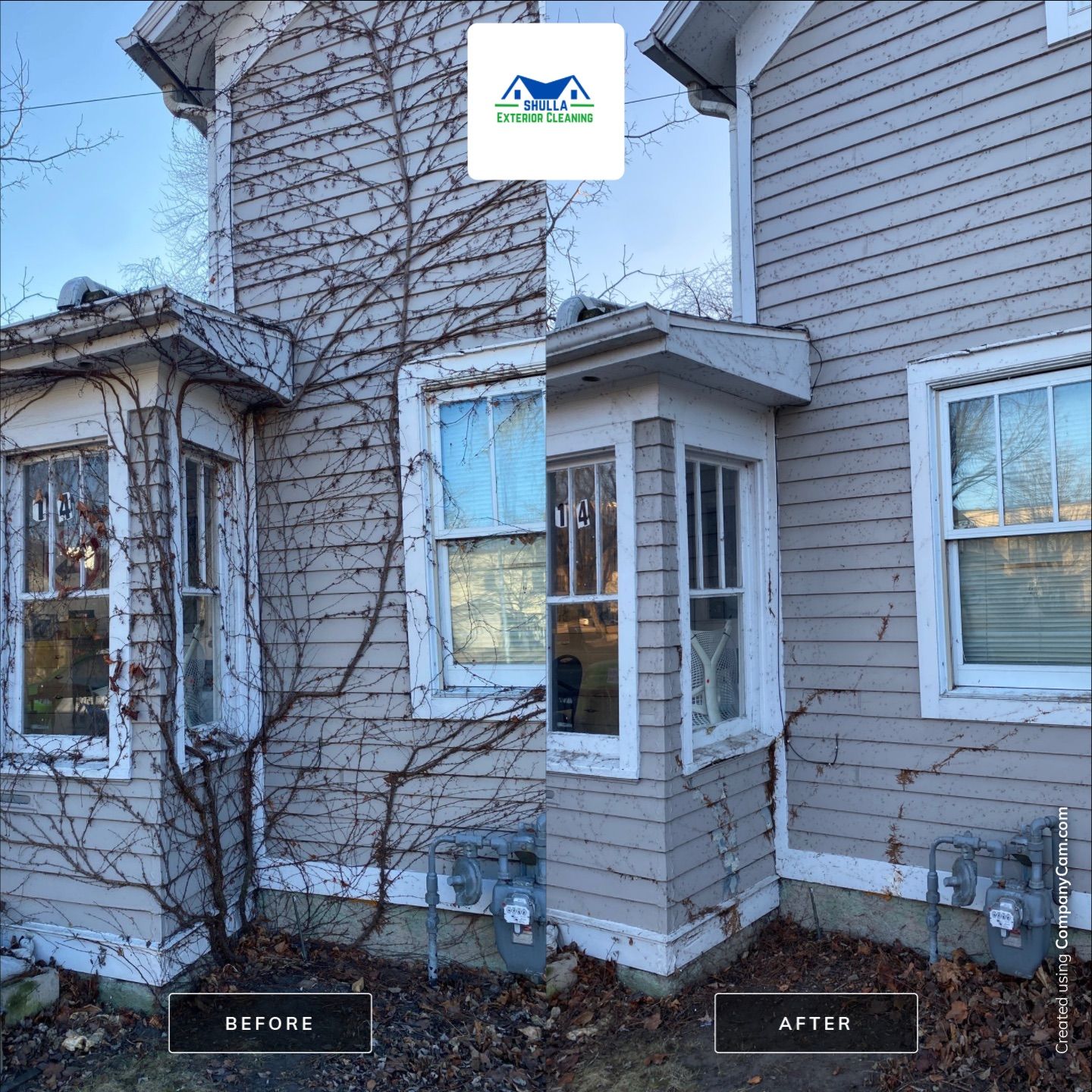 Vine Removal by Shulla Exterior Cleaning