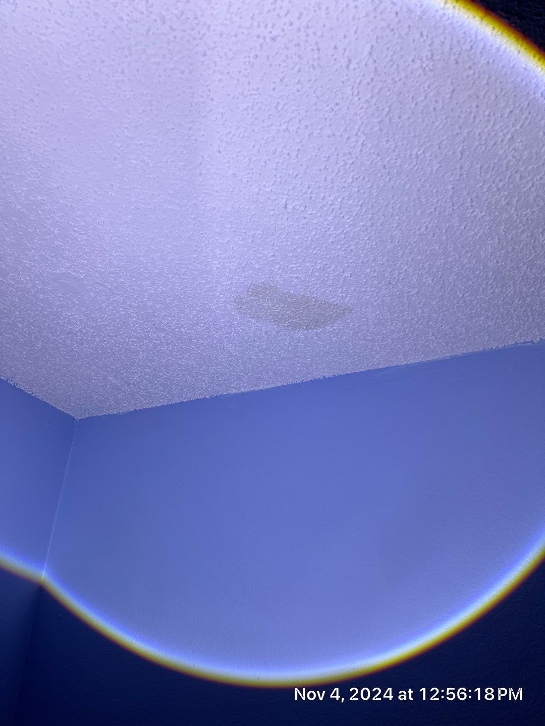 Pebble Springs Mold Remediation by Ampm Restoration Services