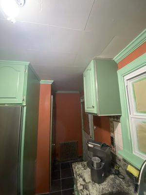 Vibrant Kitchen Painting Project