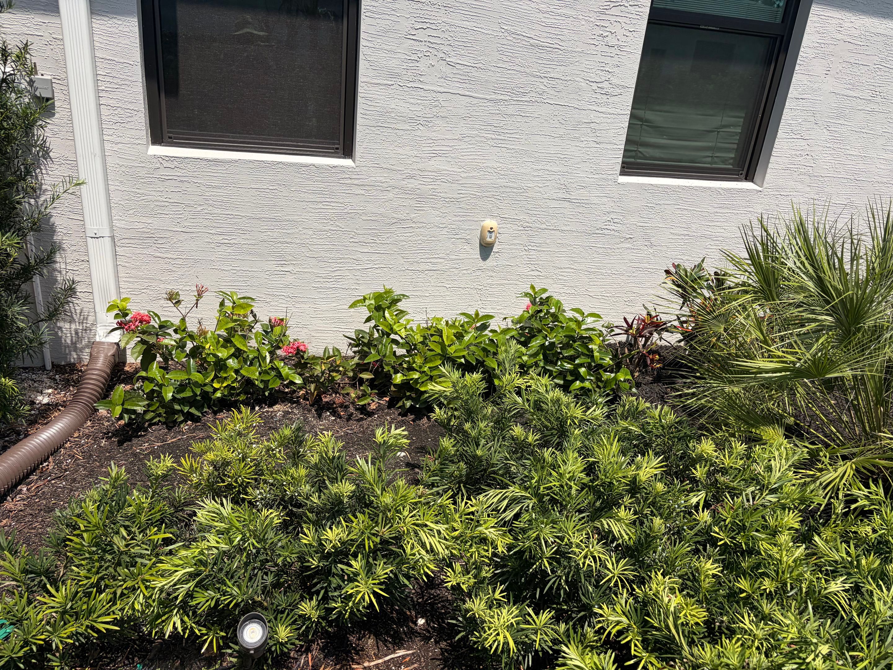 🌴✨ Canopy Creek Landscape Transformation! ✨🌿 by Alpha Zeta Enterprises Inc