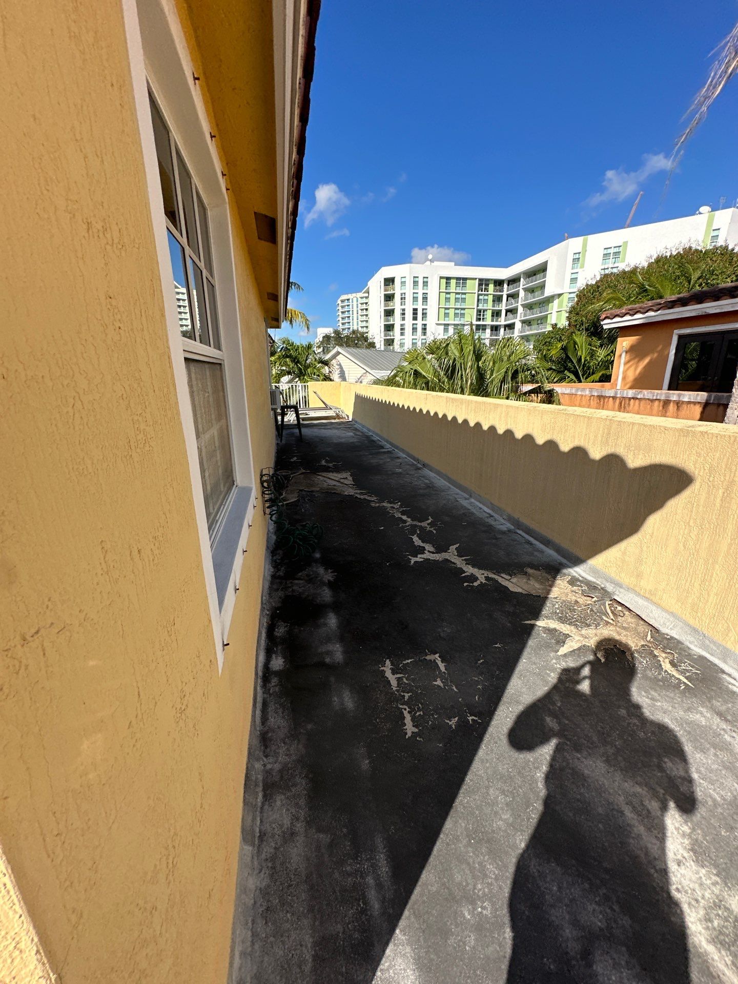 Waterproof Floor Painting  by John “The Greek” Painting