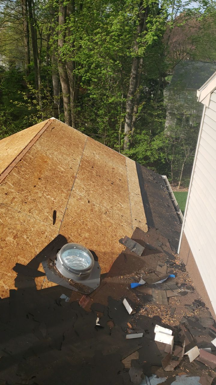 Burke: CertainTeed Landmark Pro Designer Shingles in Max Def Shenandoah by RM Banning, Inc.