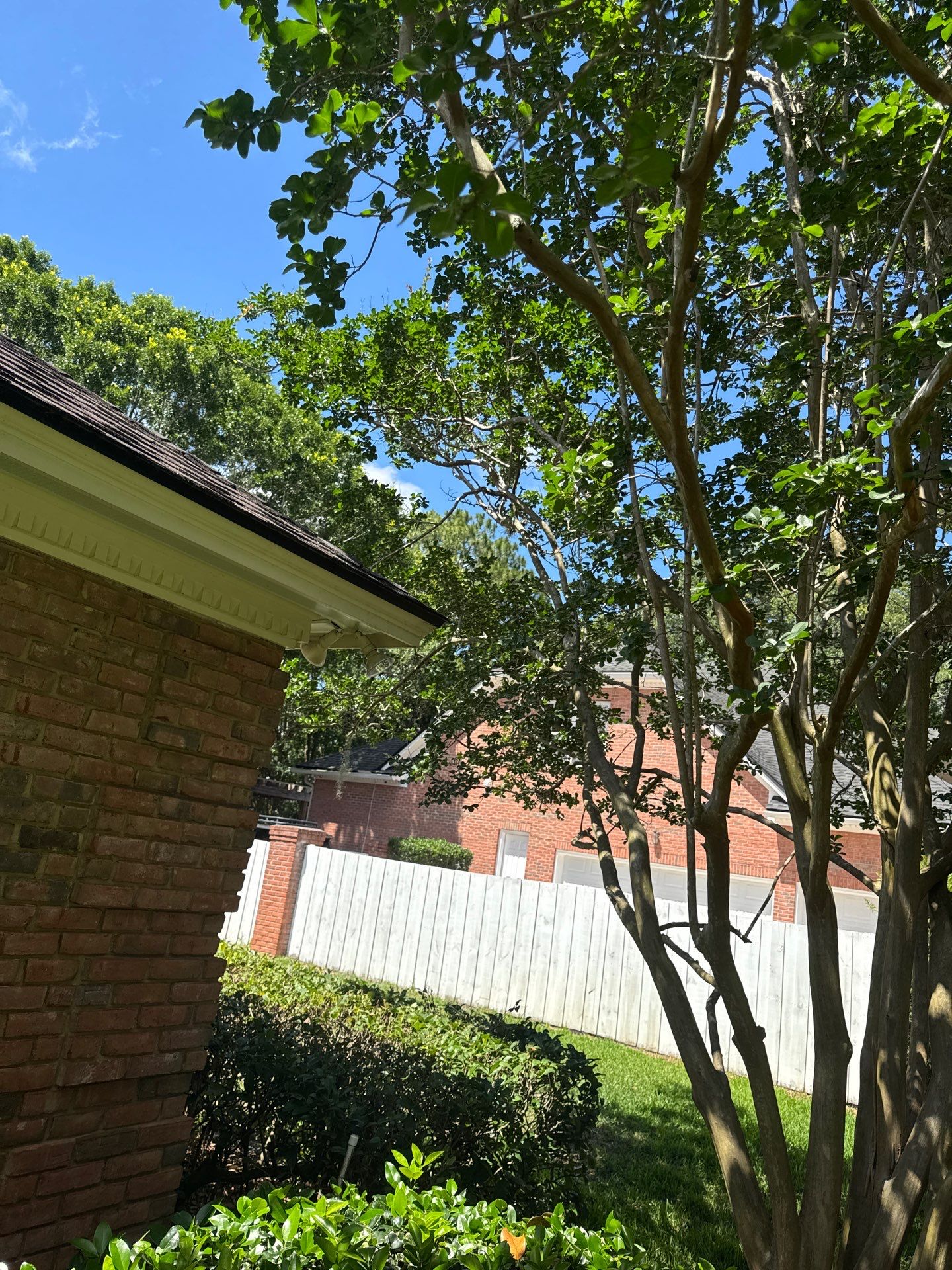 Deerwood Resident | Tree Trimming by ProGreen Services