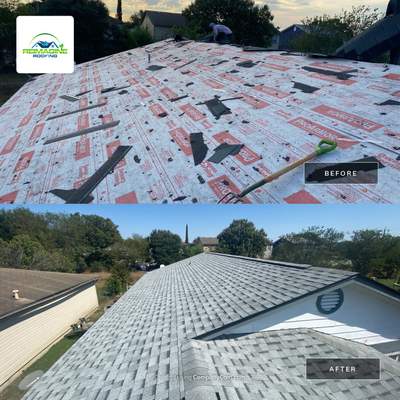 Silver Birch Shingles