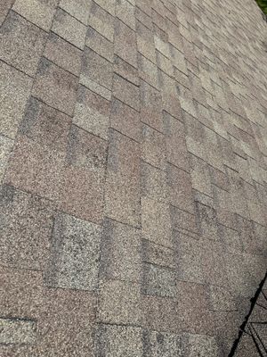 Turtle Shell gutter protection installation in Naperville, IL 60565, photograph 18