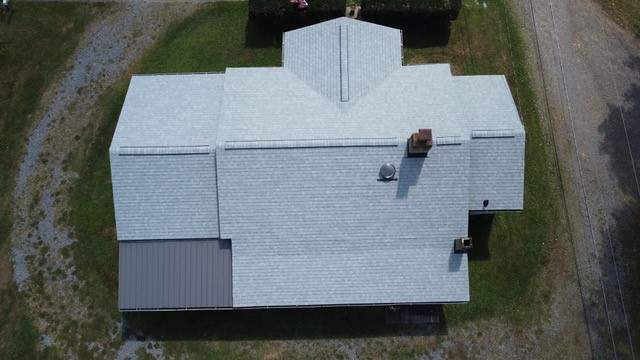 Silver Birch by John McClung Roofing