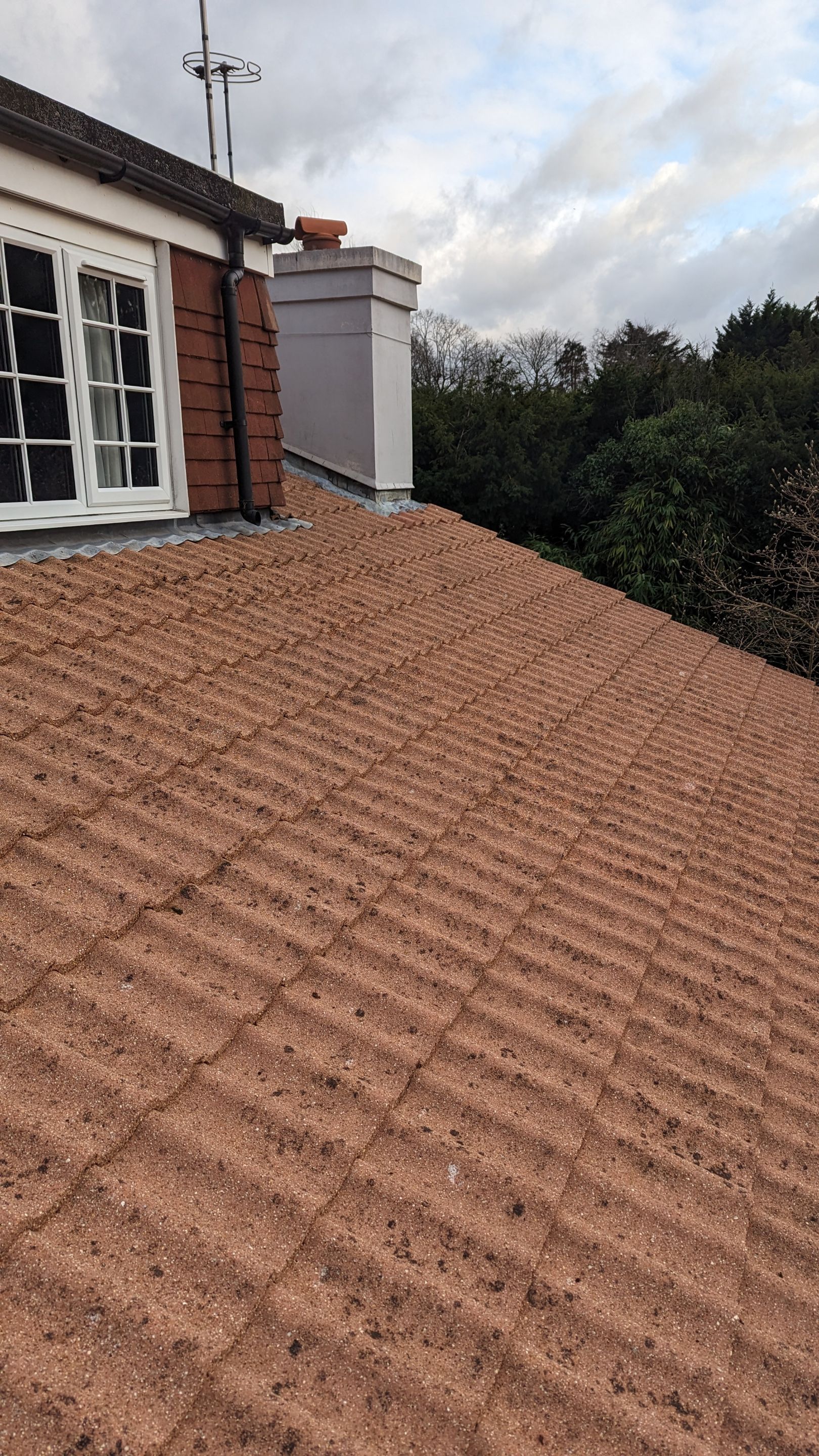 Roof and Driveway Clean using Honda 15lpm Low Pressure Washing Machine by Ges Exterior Cleaning ltd