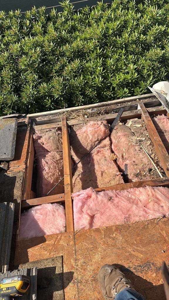 Project in Elk Grove  by NuLead Construction Inc