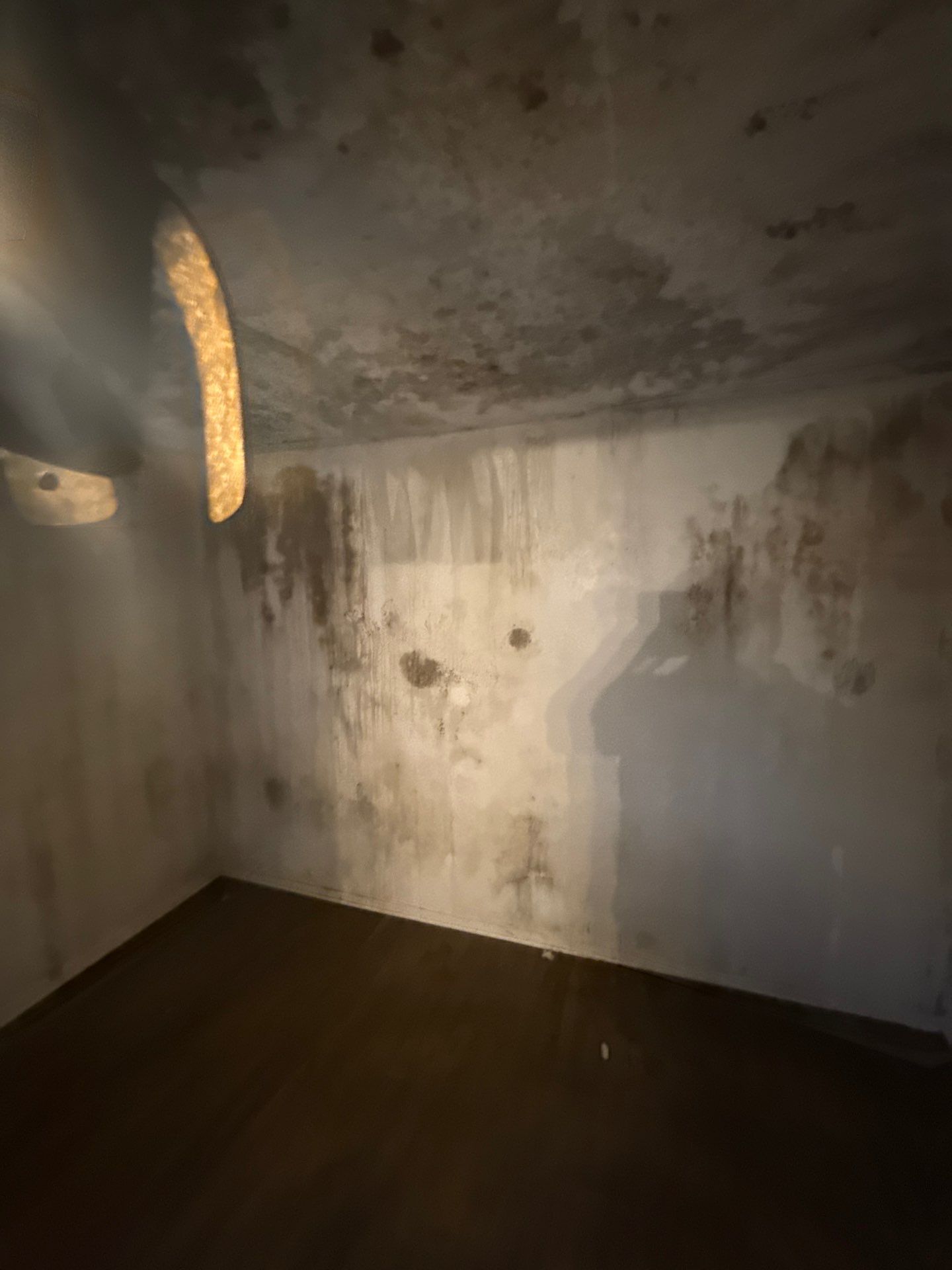 The Slate by Disaster Recovery Consultants