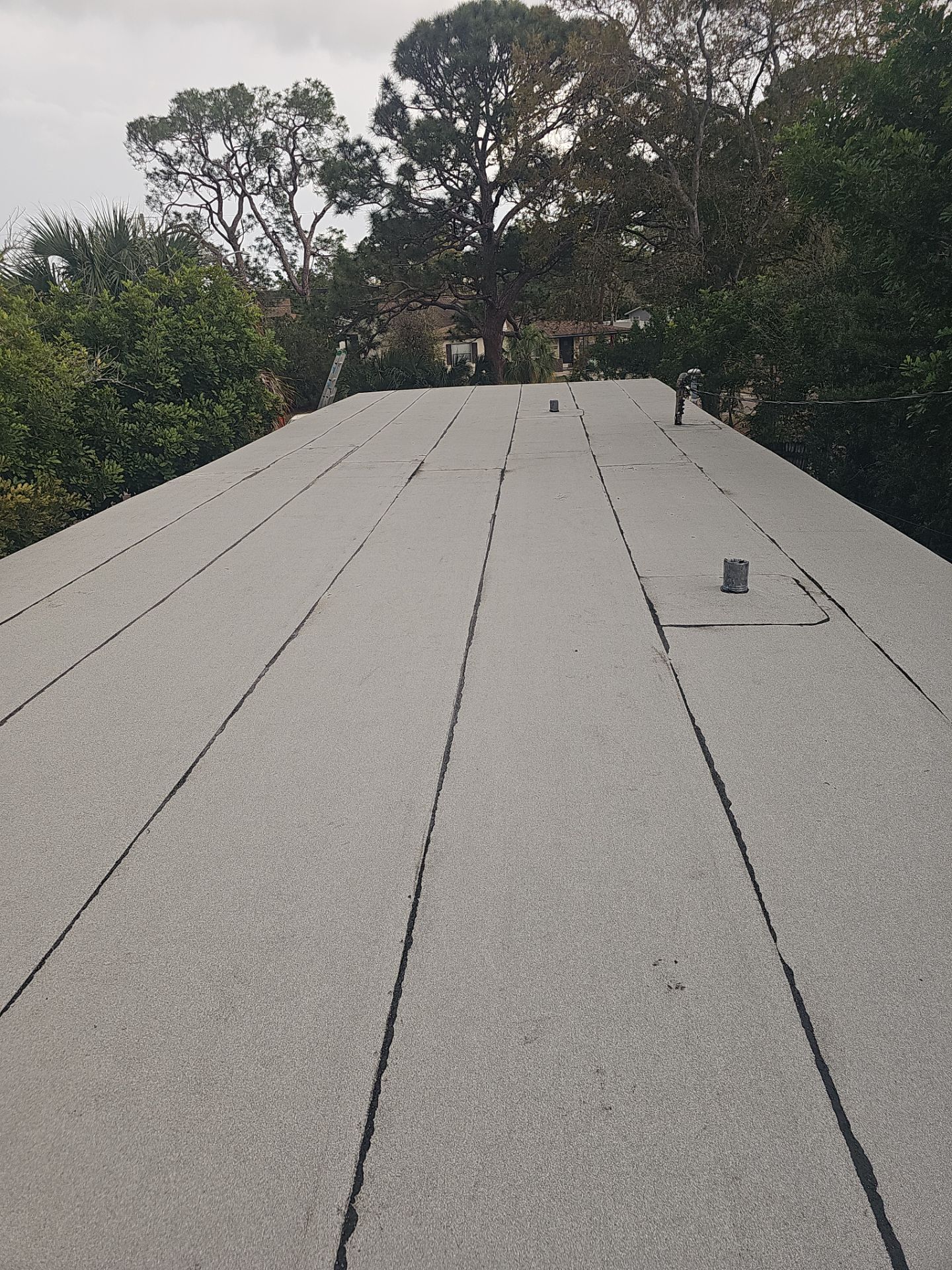 Project in St. Petersburg 33703 by Mitchell Roofing Company LLC 
