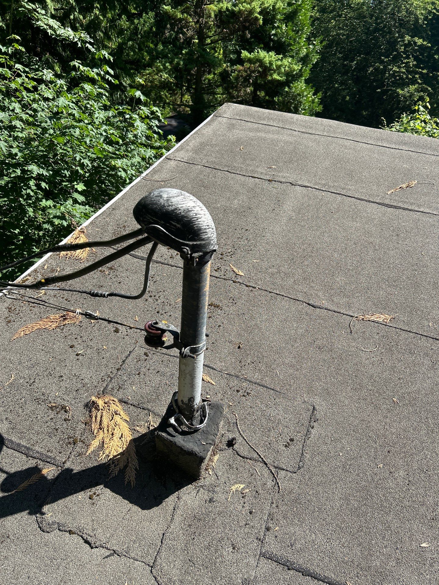 Project in Seattle by Peaks and Valleys Construction