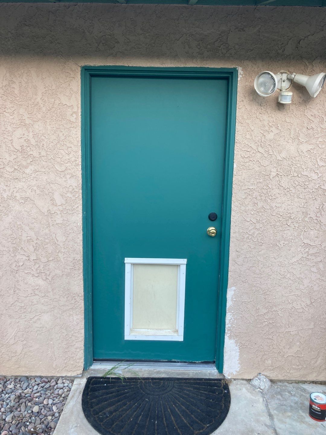 Repair Door Face by Andre Handyman