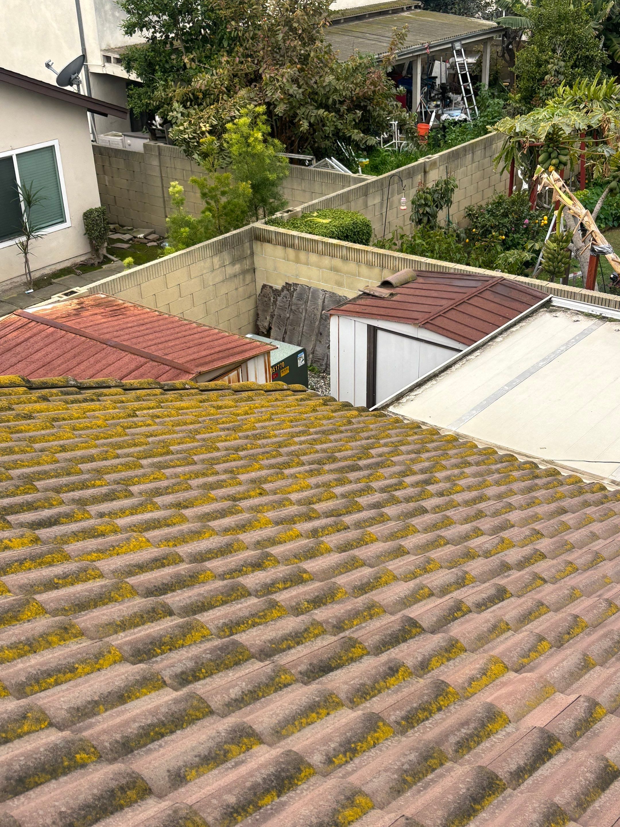 Roof Cleaning SAFECO by Pirate Pete’s Power Washing