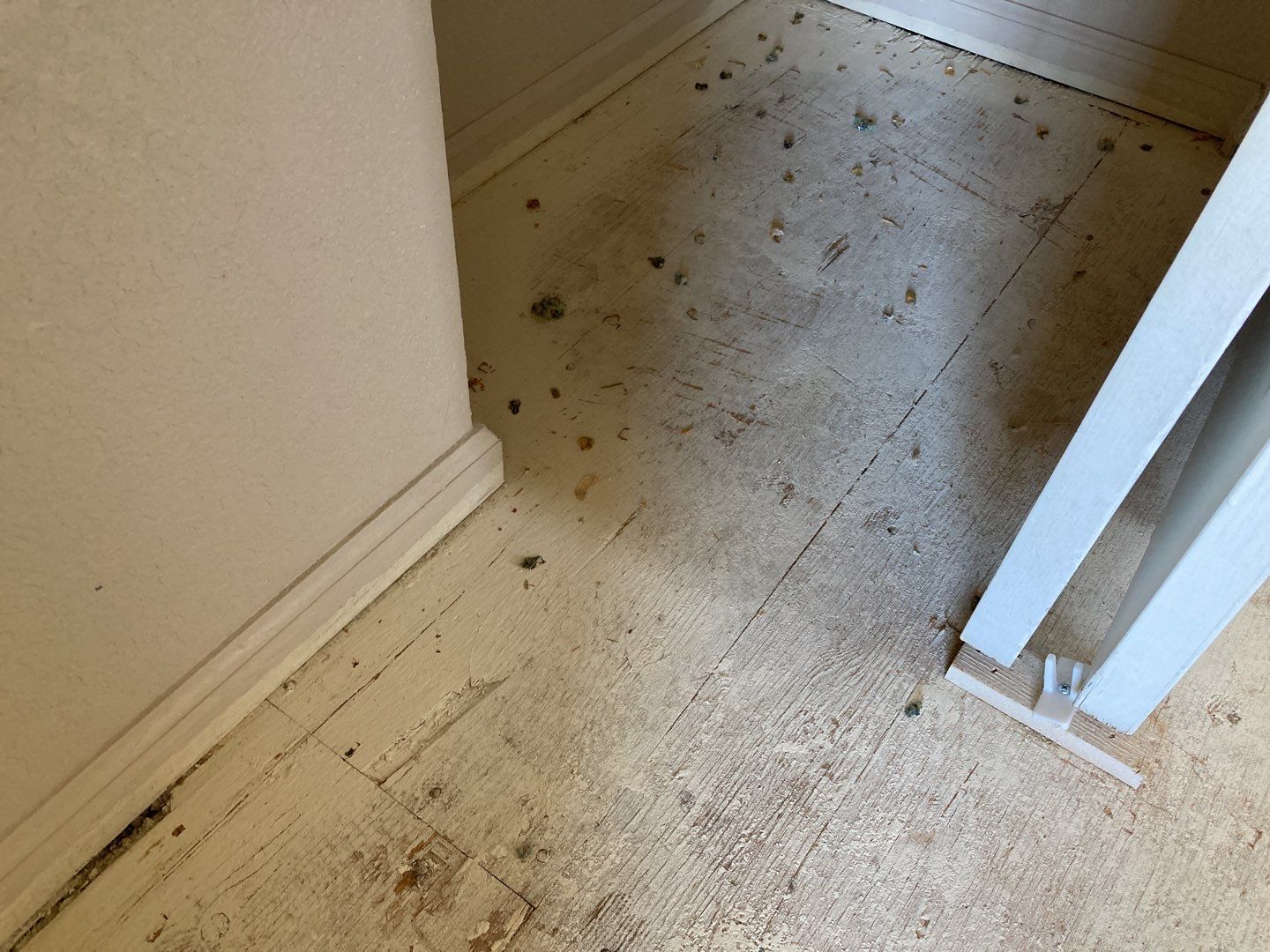 Water Damage  by Accountable Home Services