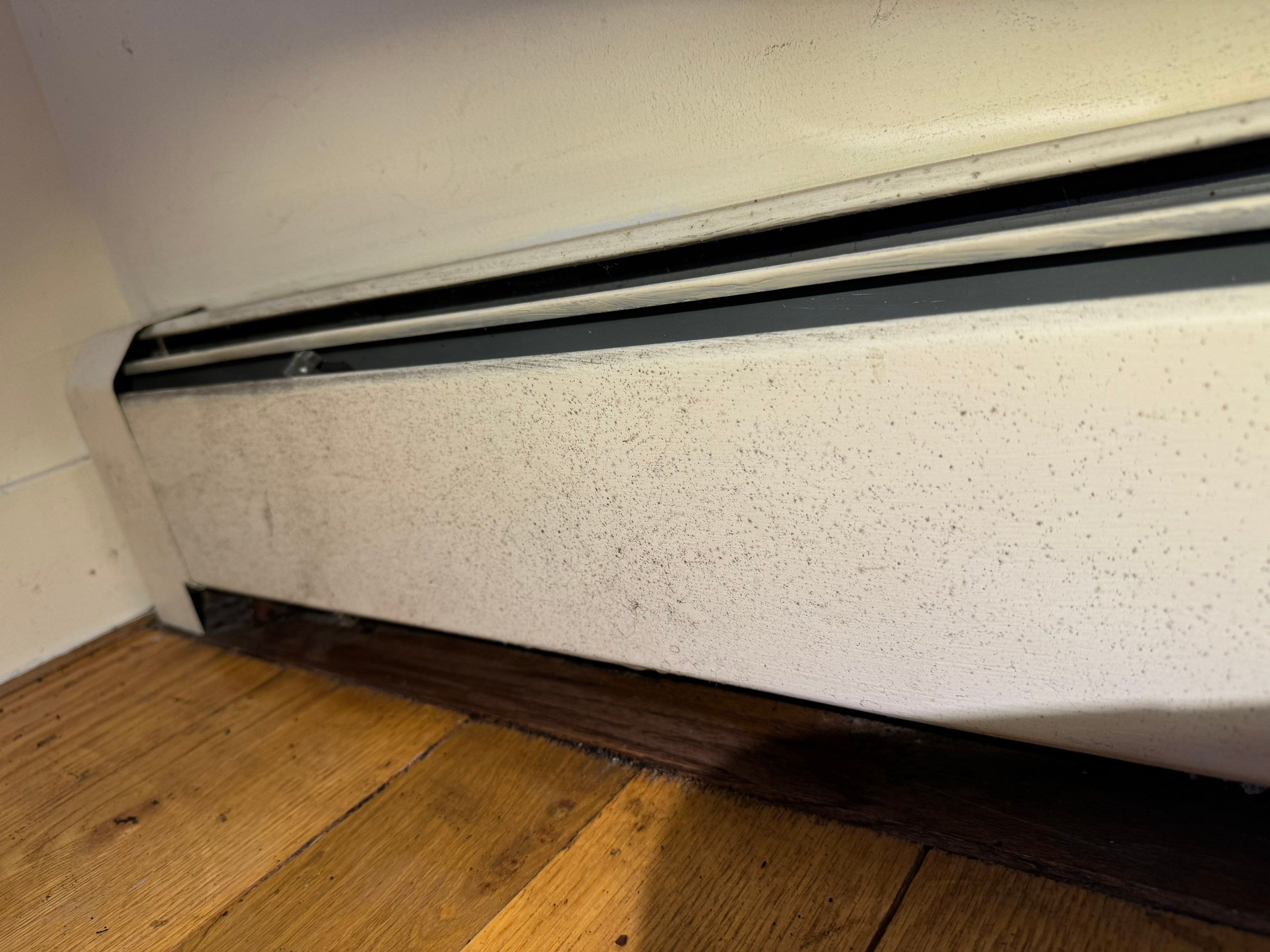 Entire Home Remediation by Home Guarantee, LLC