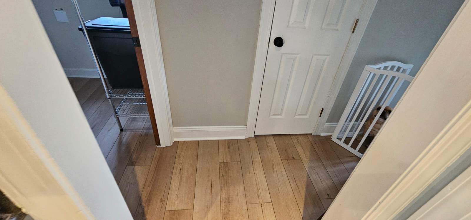 Bartlo's flooring project by Alpha and Omega Pro Services