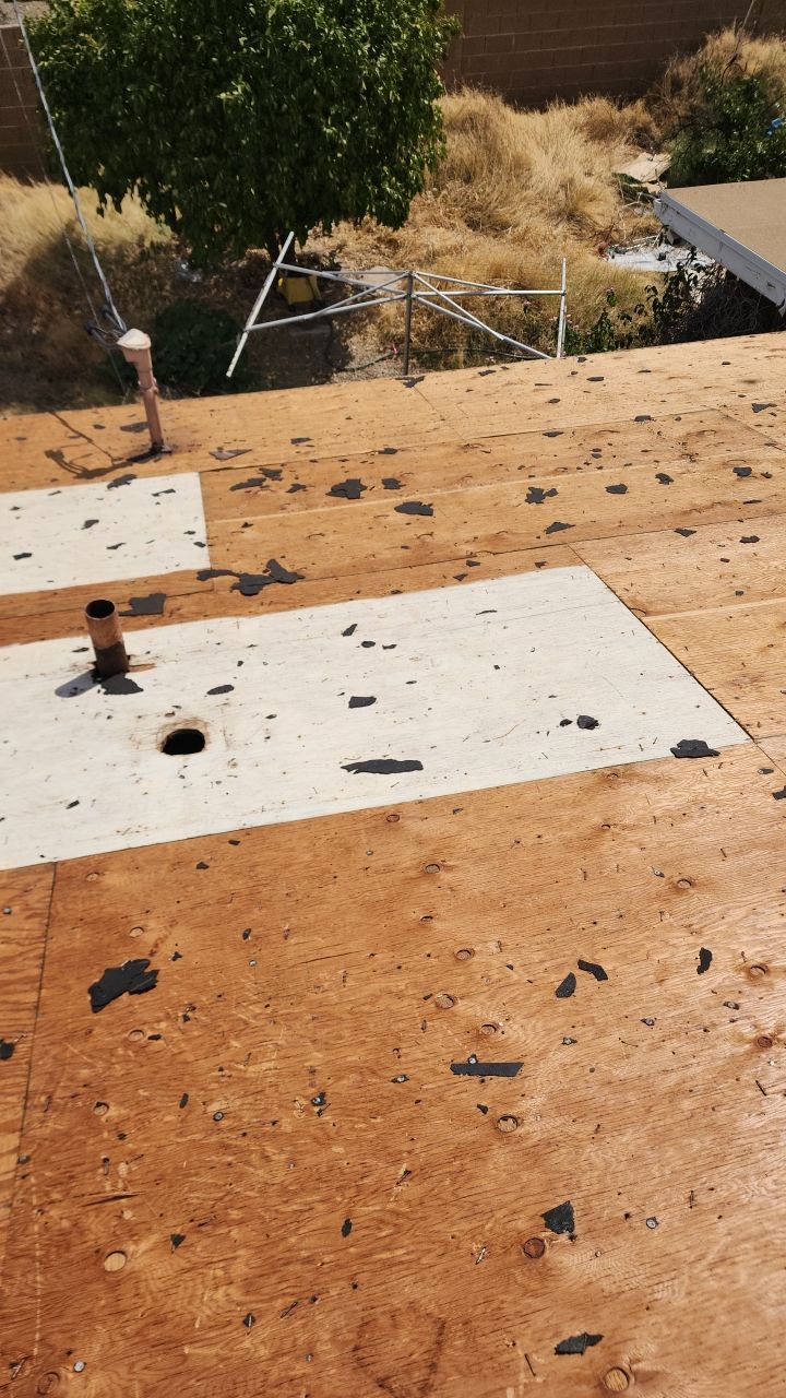 Desert Tan Shingles by Reimagine Roofing