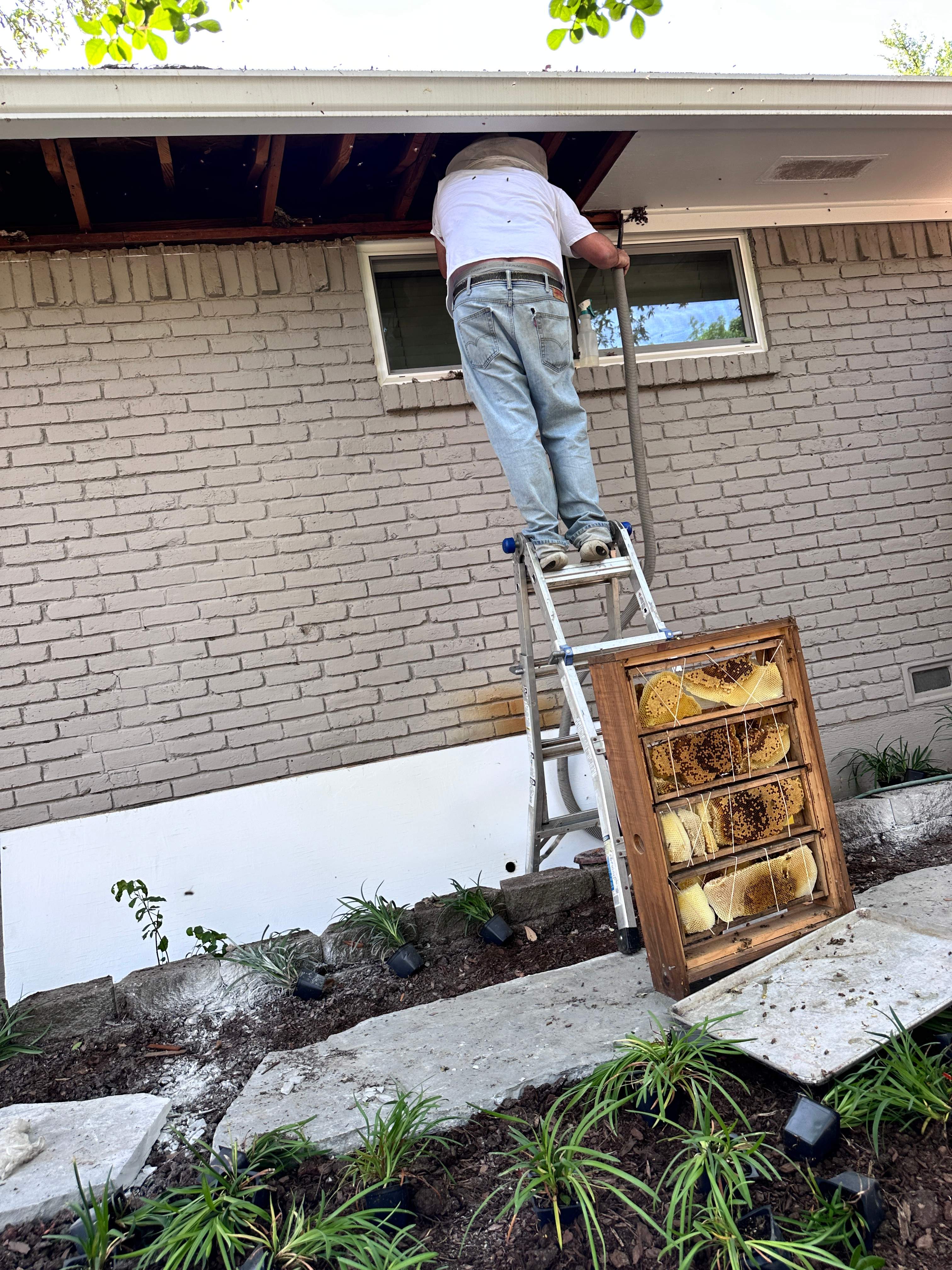 Show-and-Tell by Rockwall Honey Bee Company