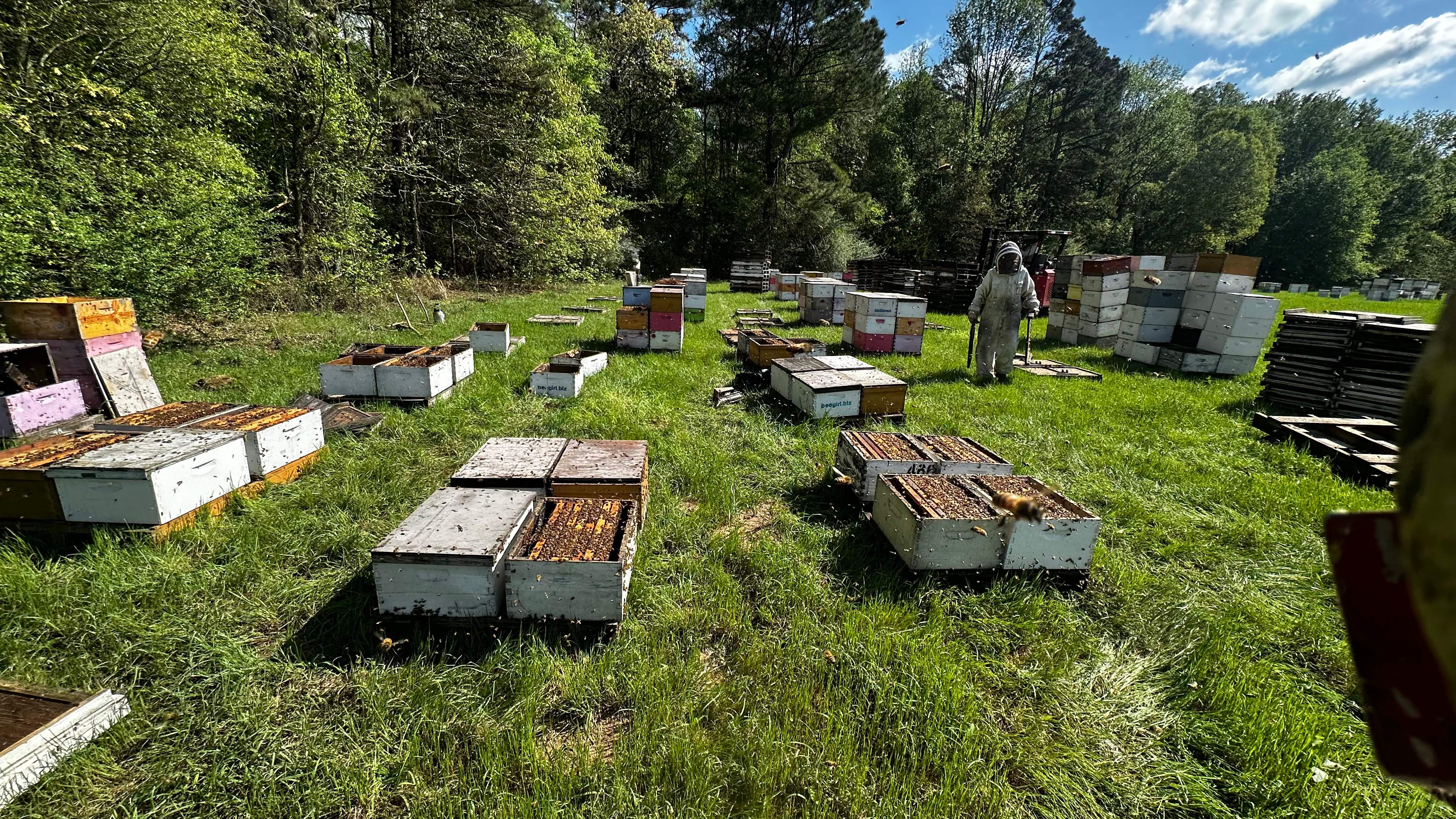 Traylor's Hay Meadow Apiary by Rockwall Honey Bee Company