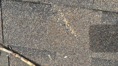 Turtle Shell gutter protection installation in Naperville, IL 60563, photograph 36