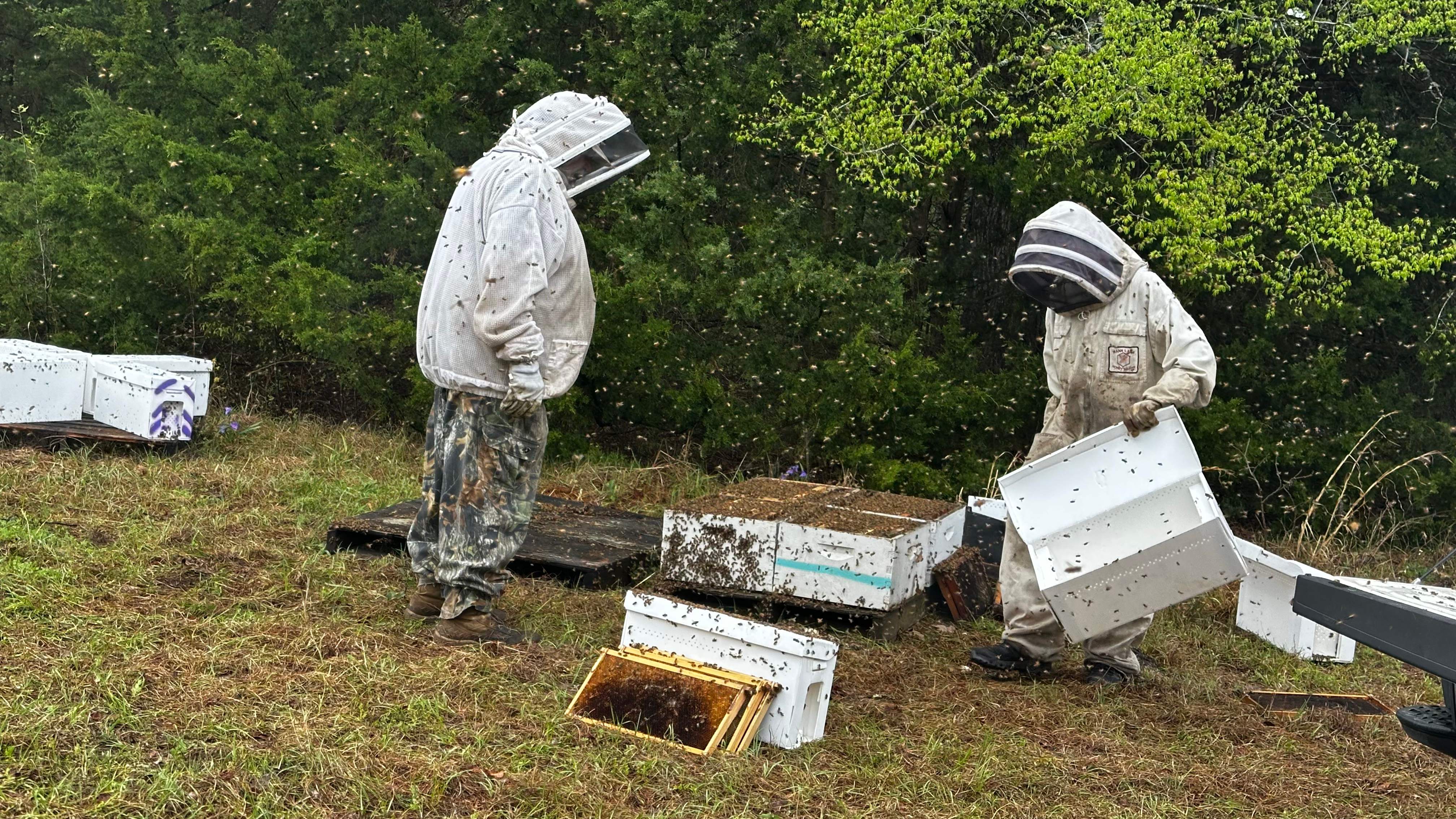 BeeGirl ETX HQ by Rockwall Honey Bee Company